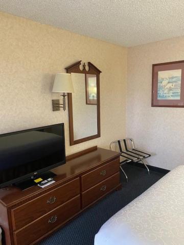King Room photo 3