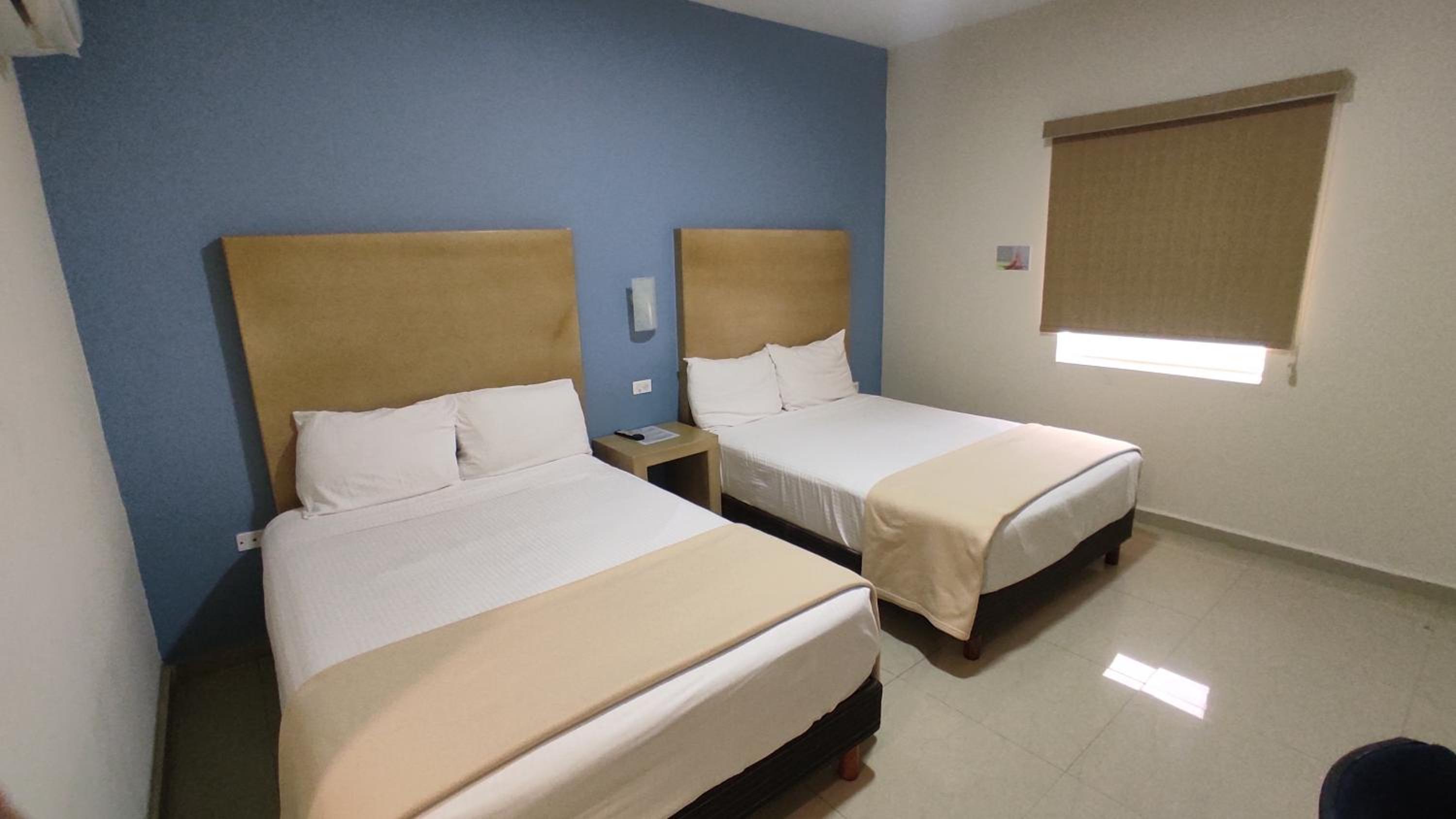 Twin Room photo 3