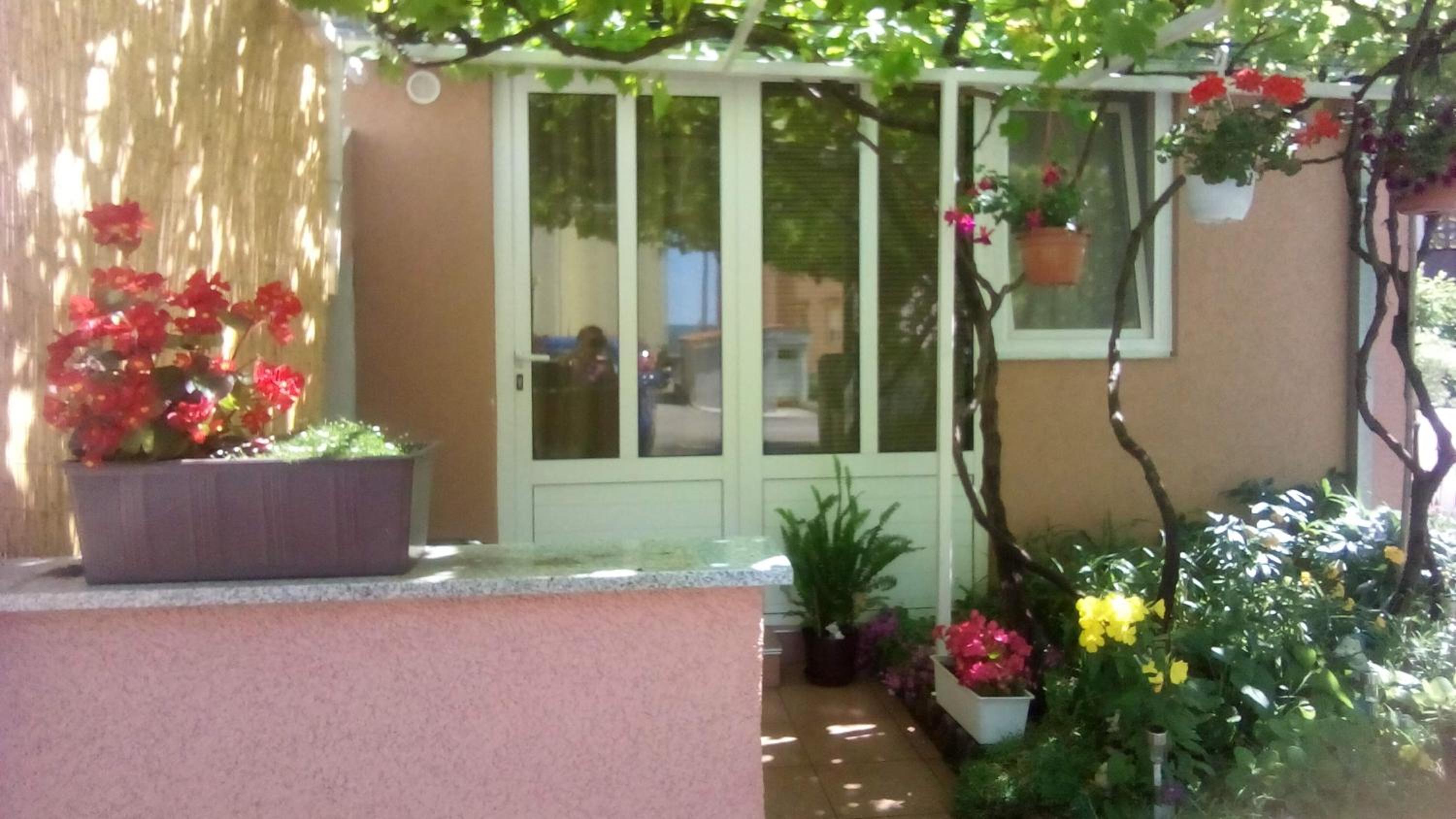 Apartment with Terrace photo 2