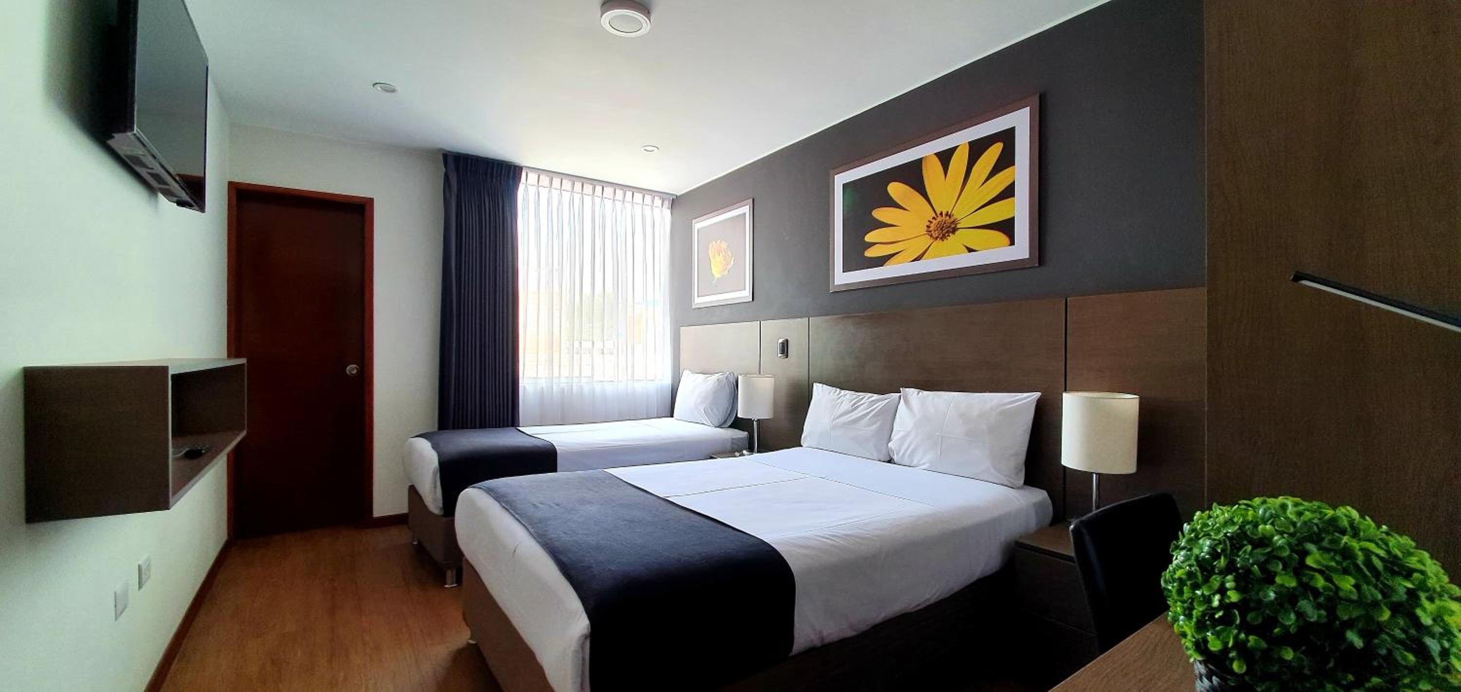 Triple Room photo 3