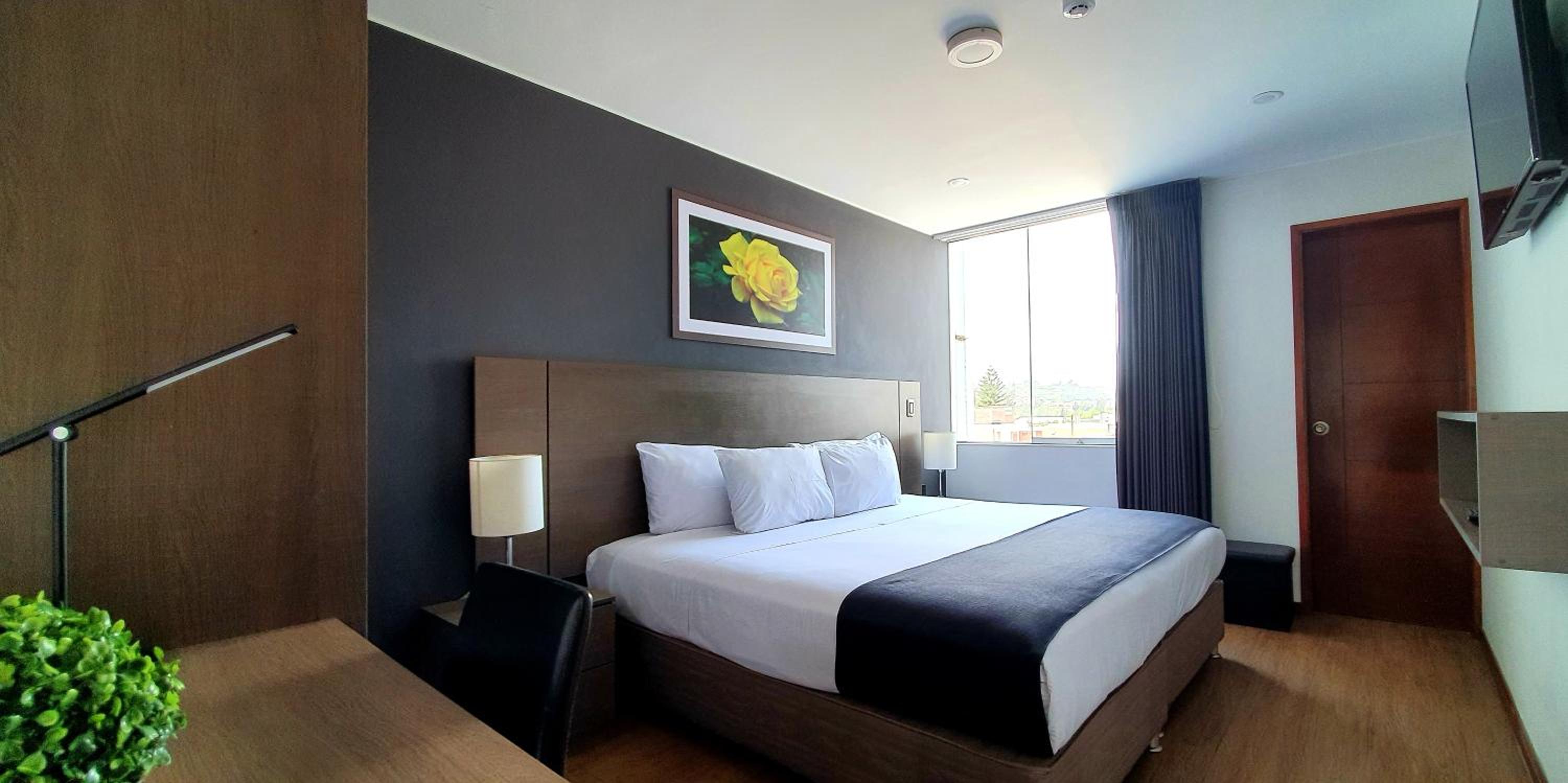 Double Room photo 1