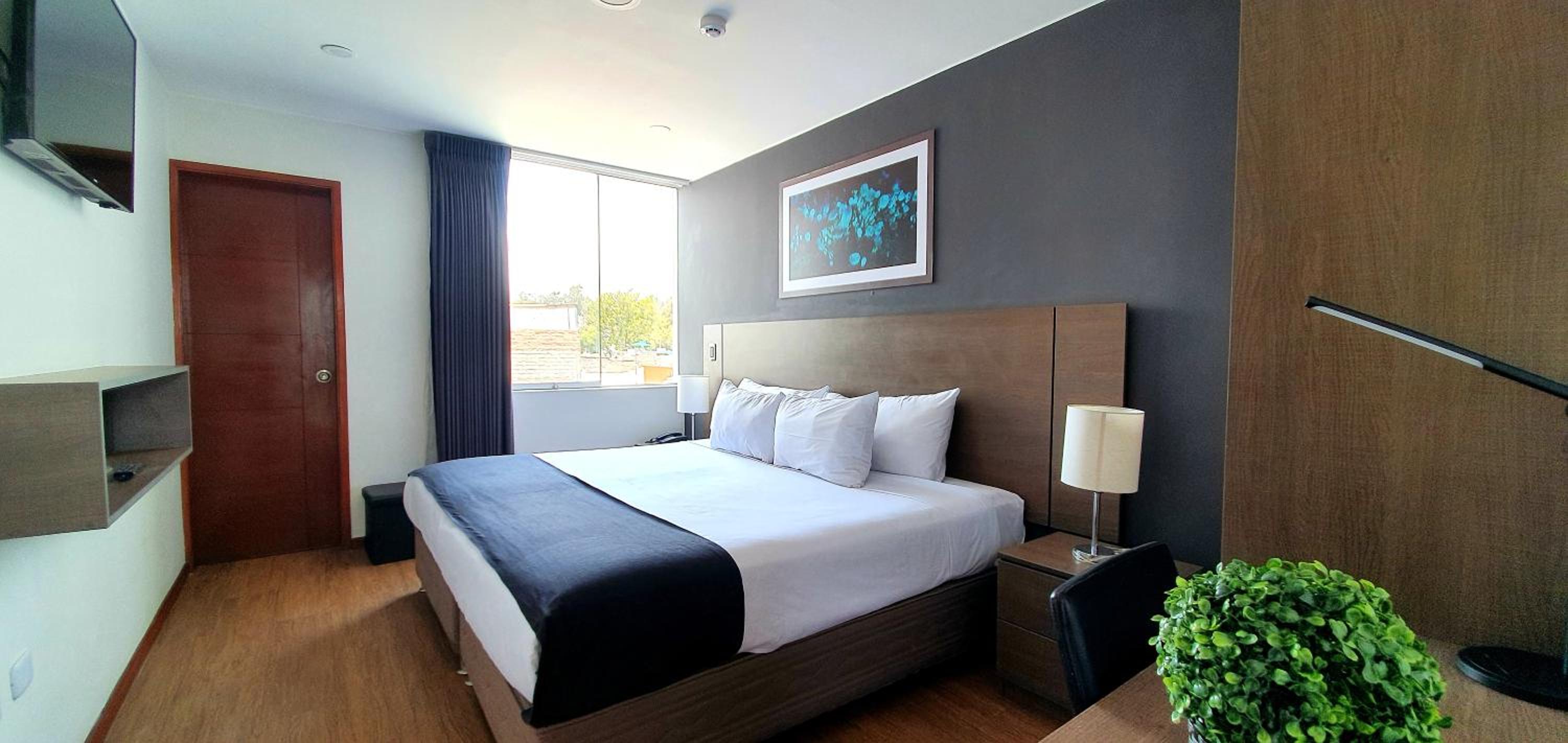 Double Room photo 2