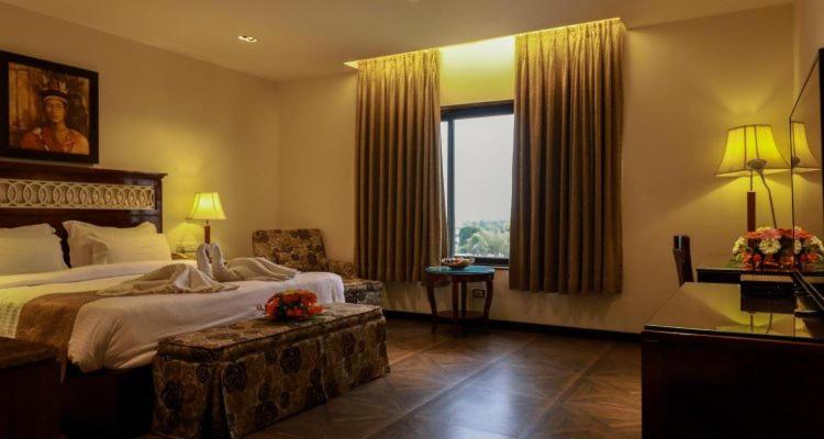 Queen Room - Photo 6