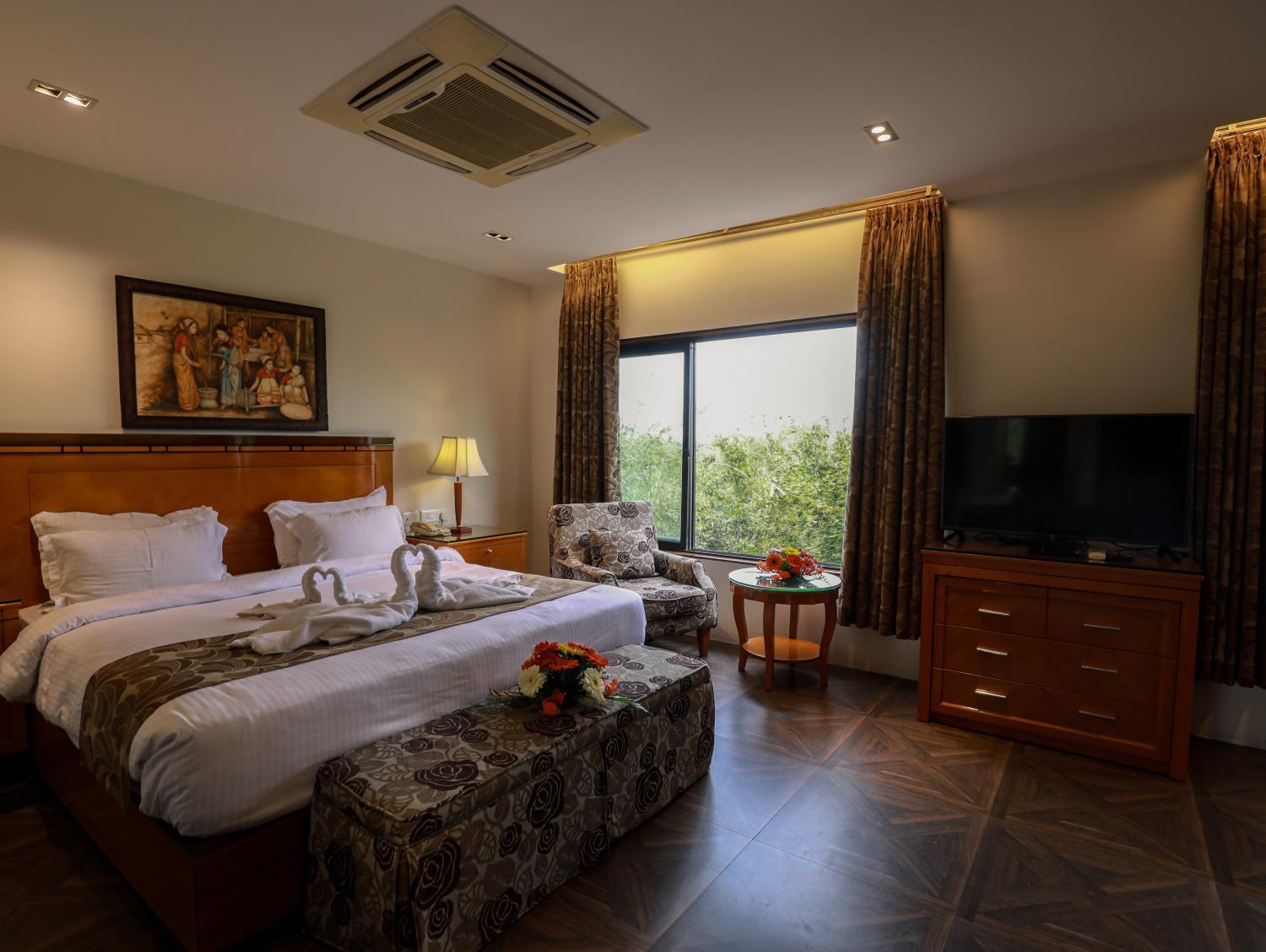 Suite - Photo 1