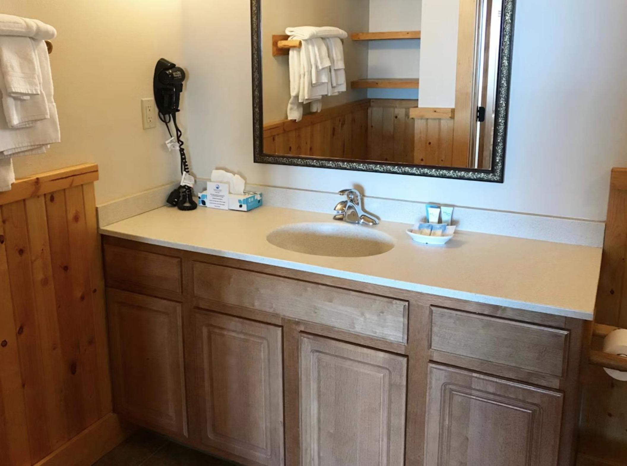 Burlington 1 Bedroom Suite photo 3