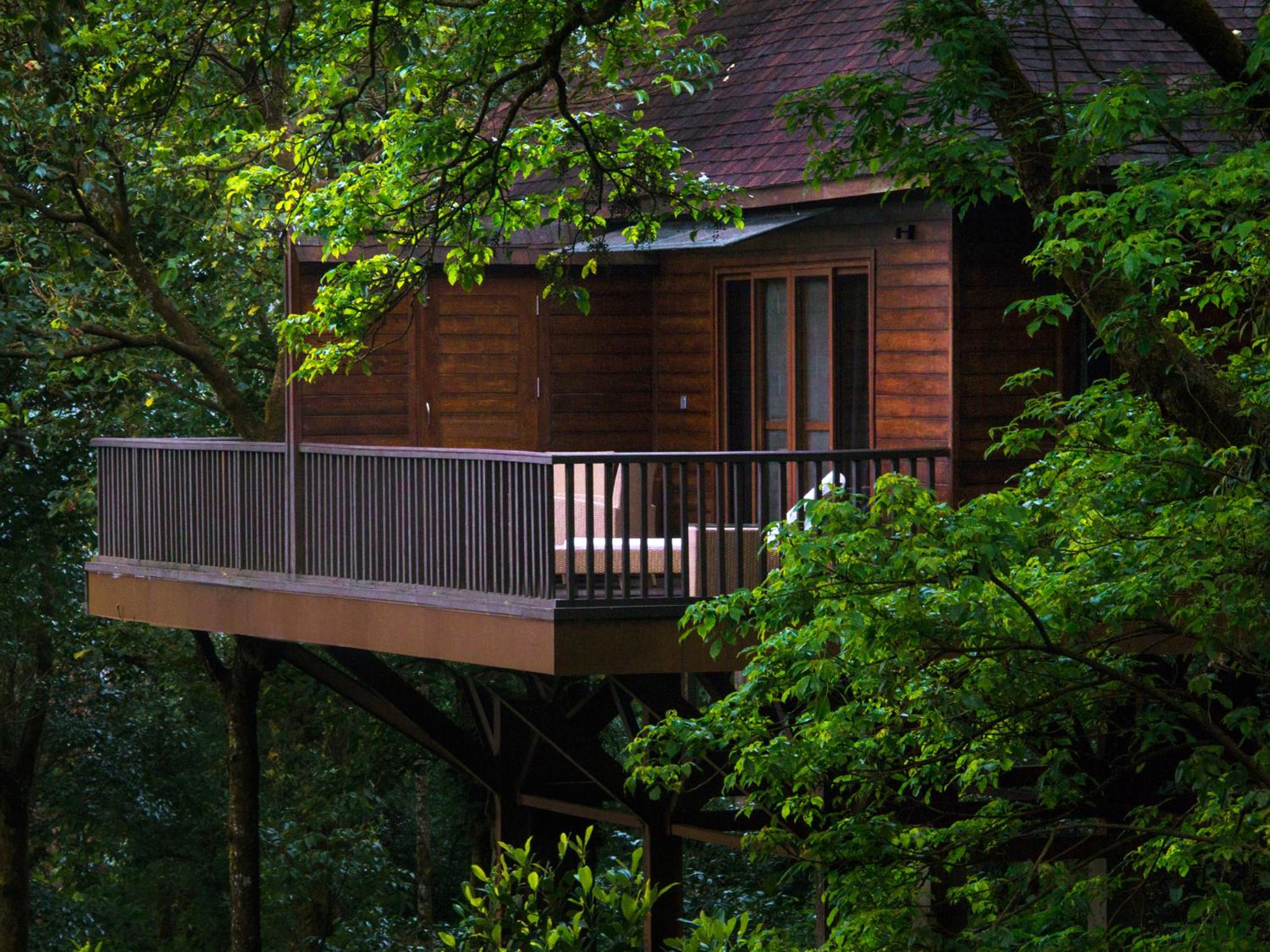 Luxury Cottage (Children Only Above 12 Years are Allowed) - Photo 3