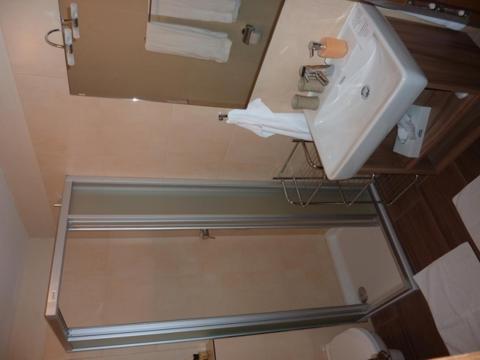Superior One-Bedroom Apartment with Balcony photo 3