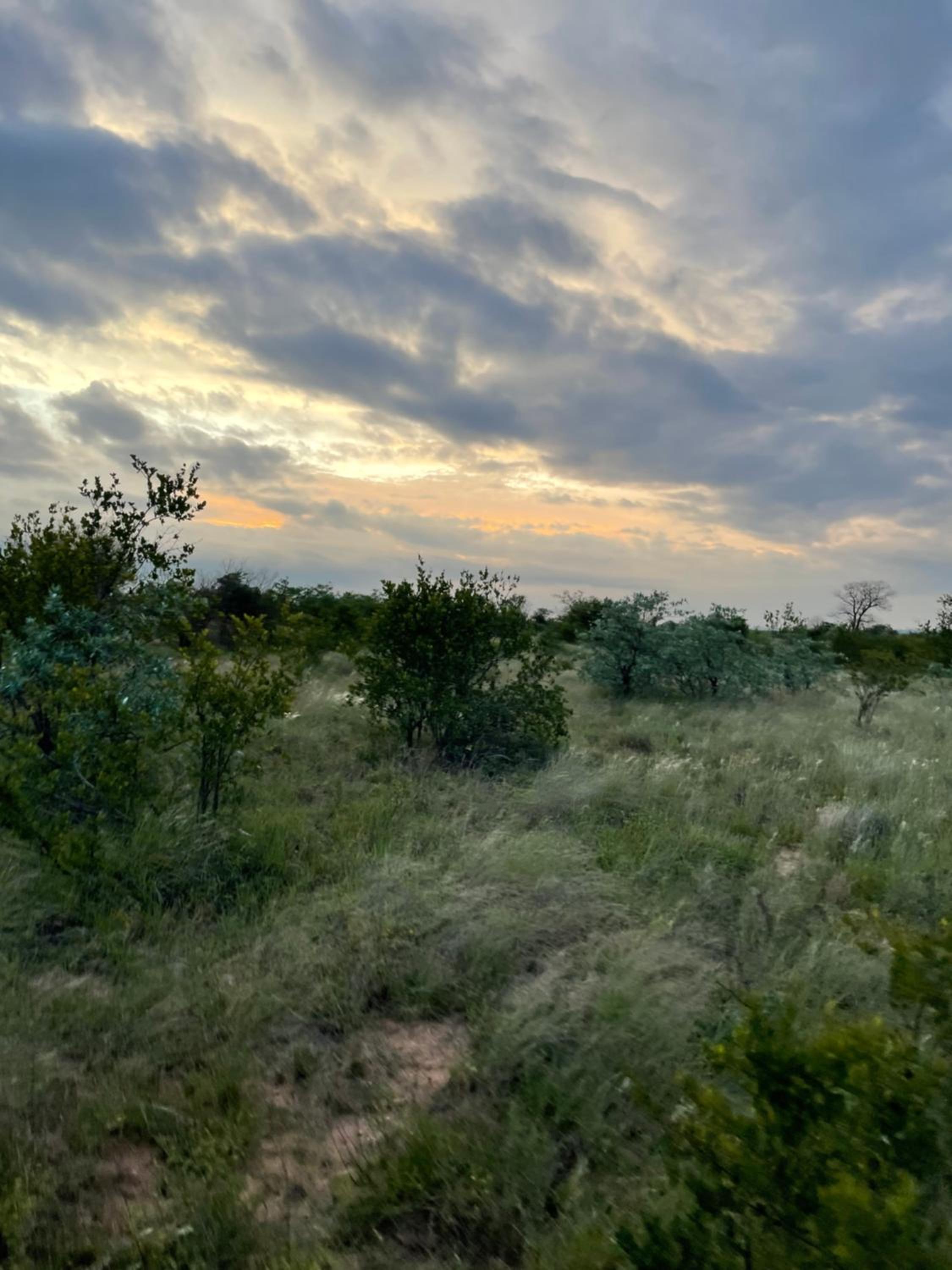 Two-Bedroom Apartment - Photo 79