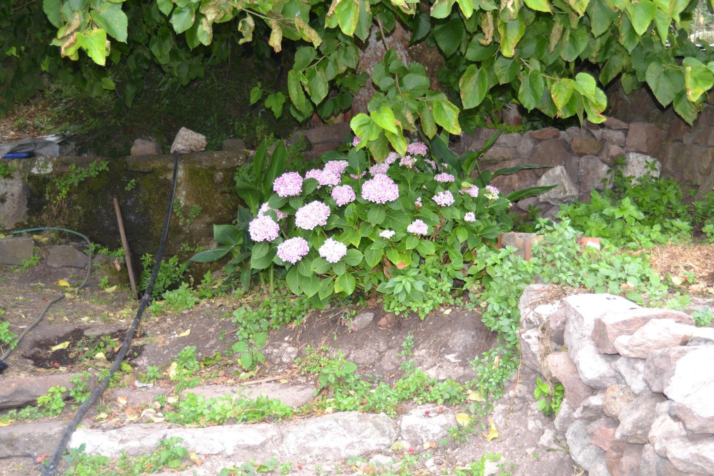 Queen Room with Garden View photo 2