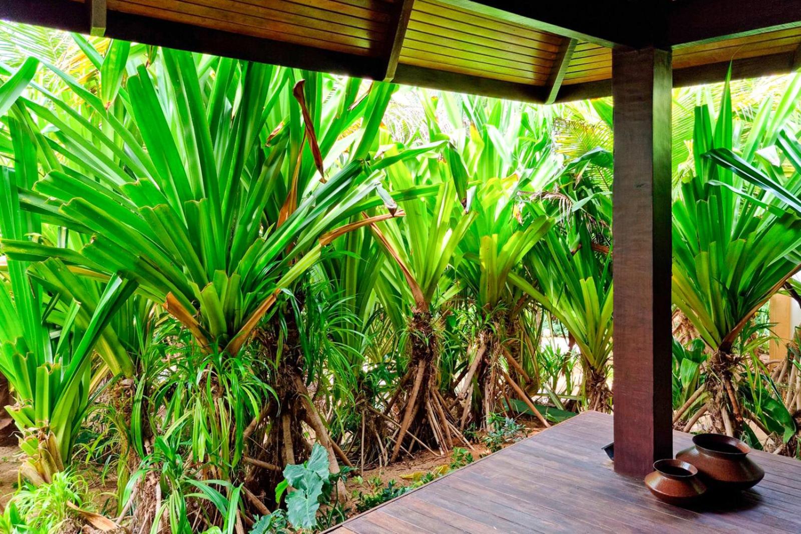 Bungalow photo 3