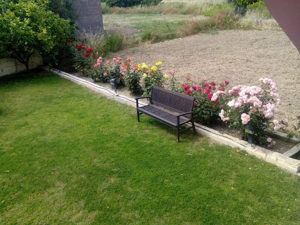 Studio with Terrace photo 2