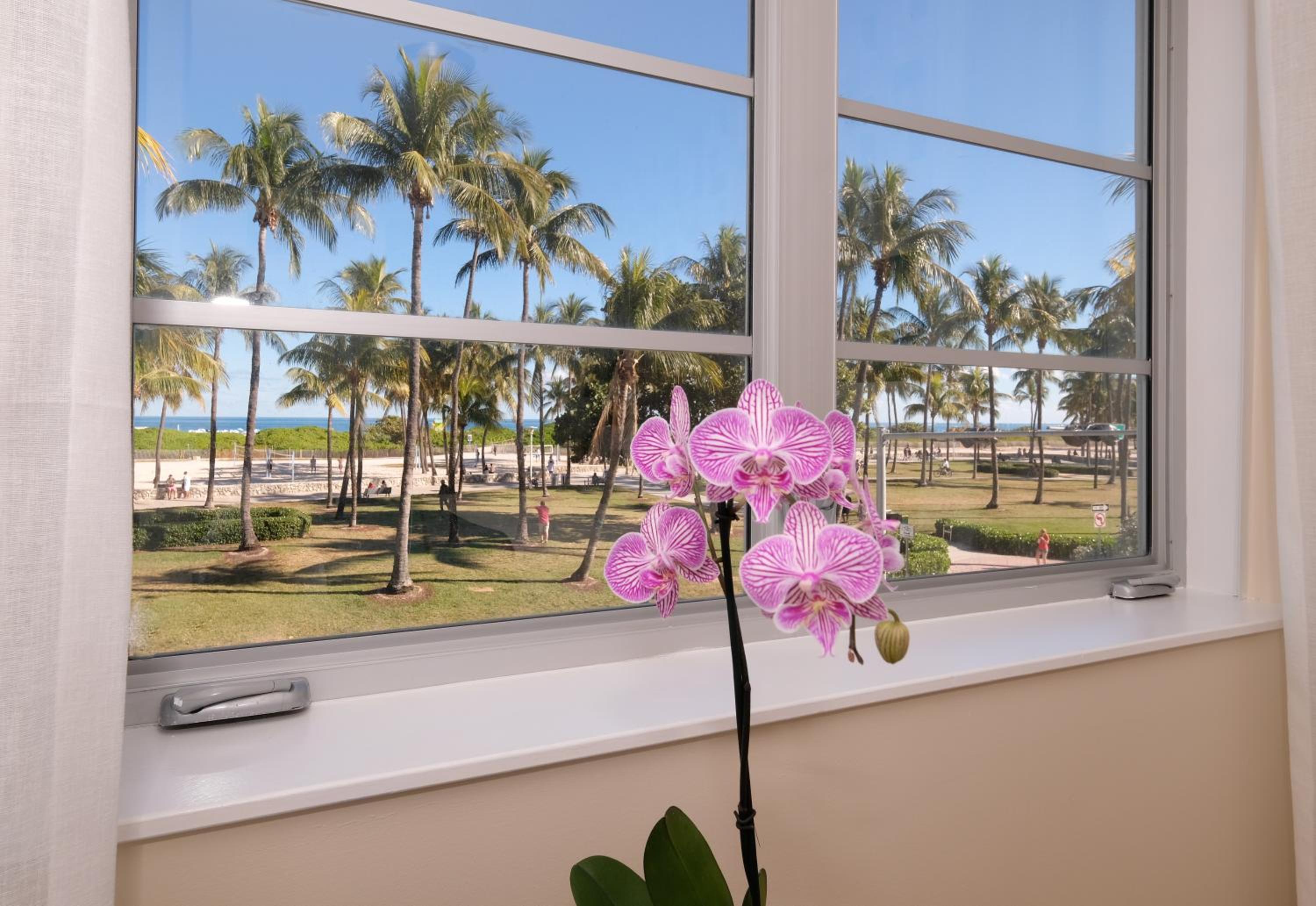 Ocean Front King Room - Photo 10