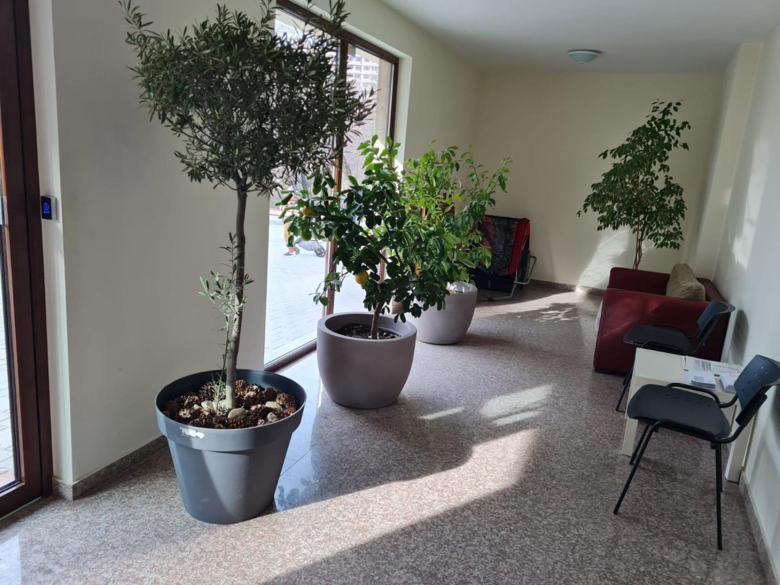 One-Bedroom Apartment - Photo 38