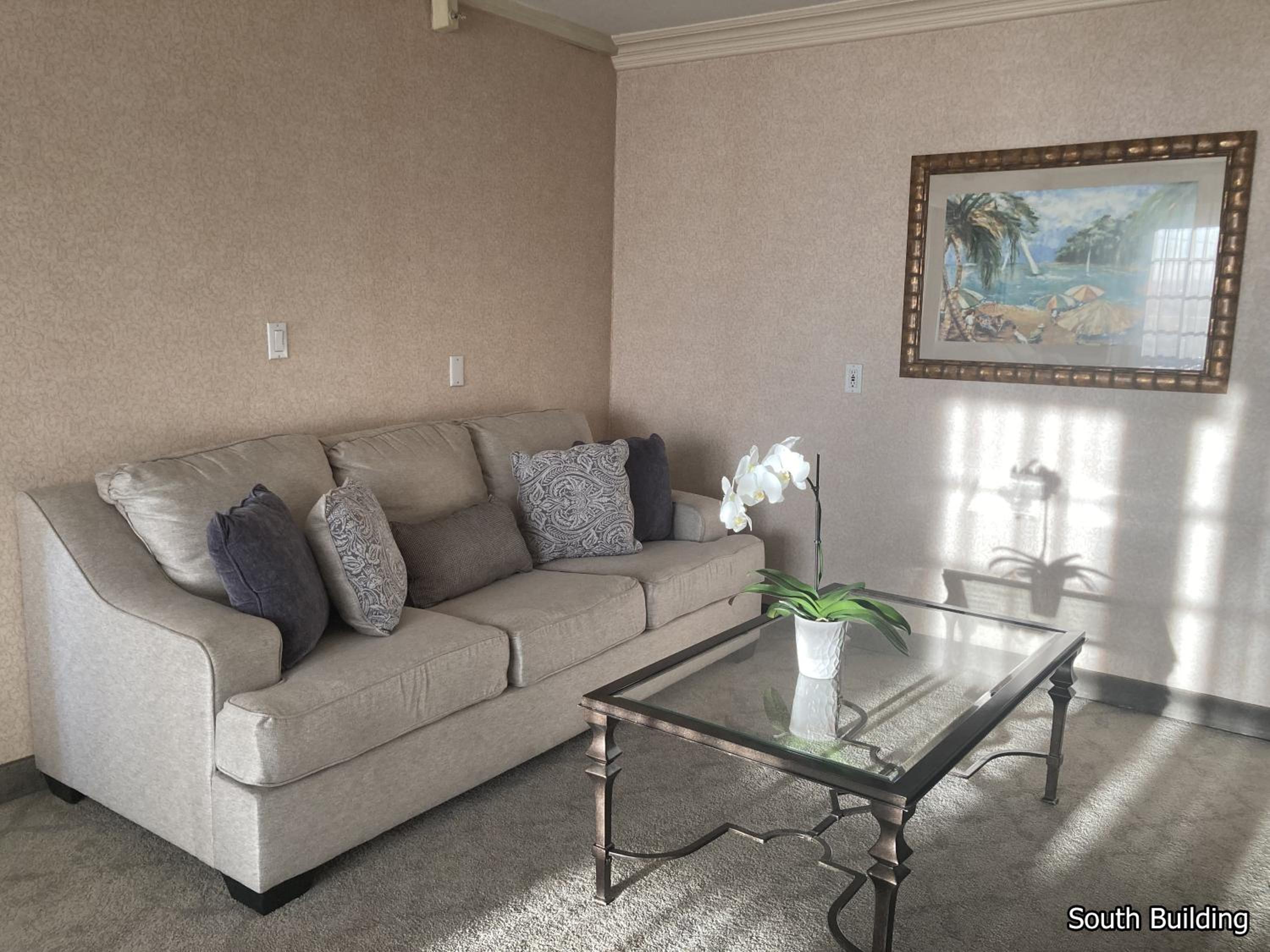One-Bedroom Suite [South Building] - Photo 4