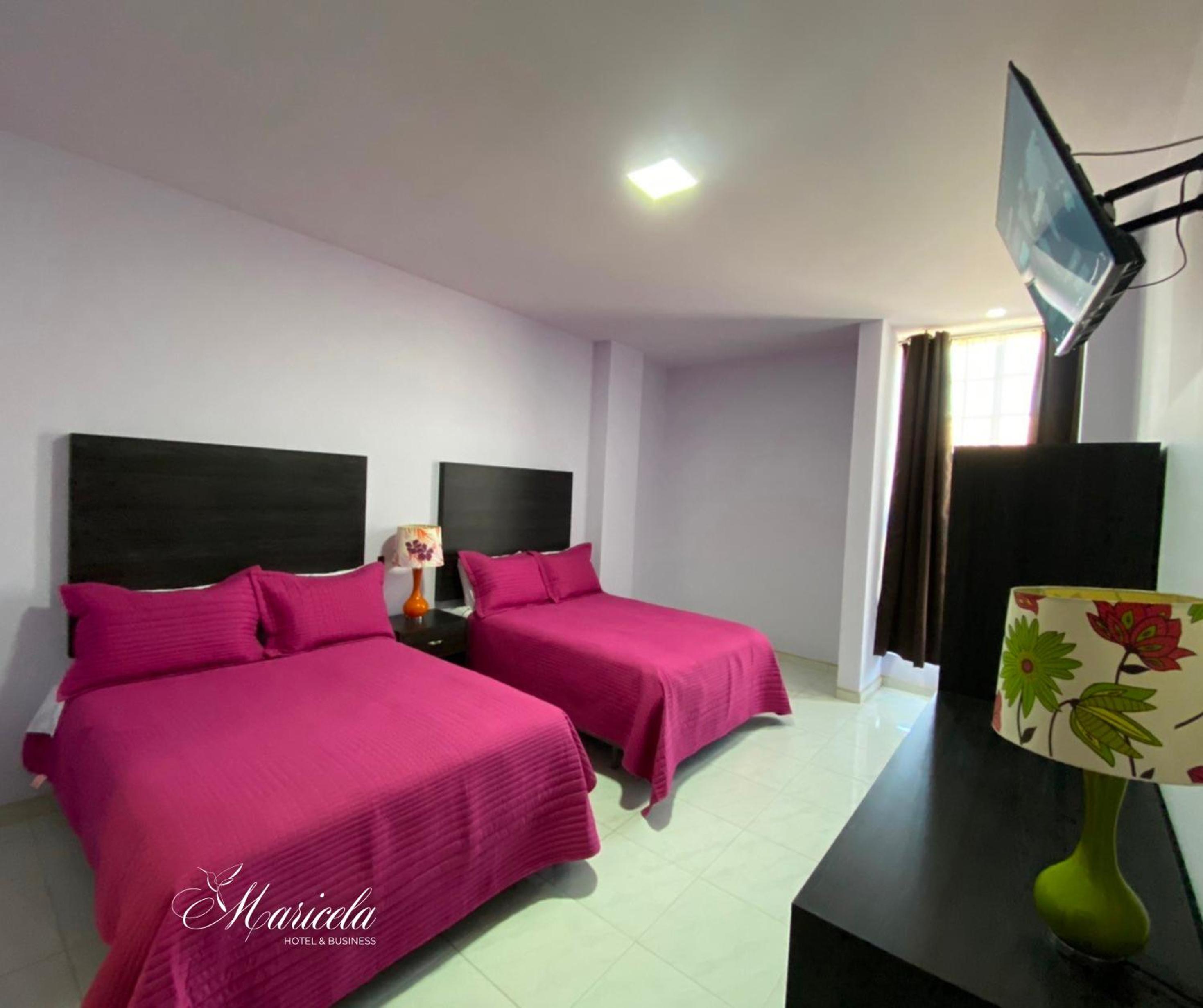 Deluxe Double Room with Shower - Photo 3