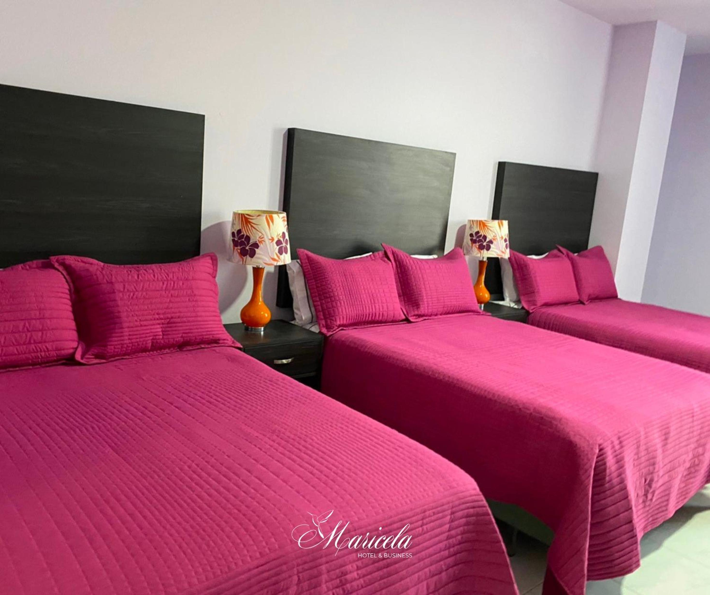 Comfort Triple Room with Shower - Photo 1