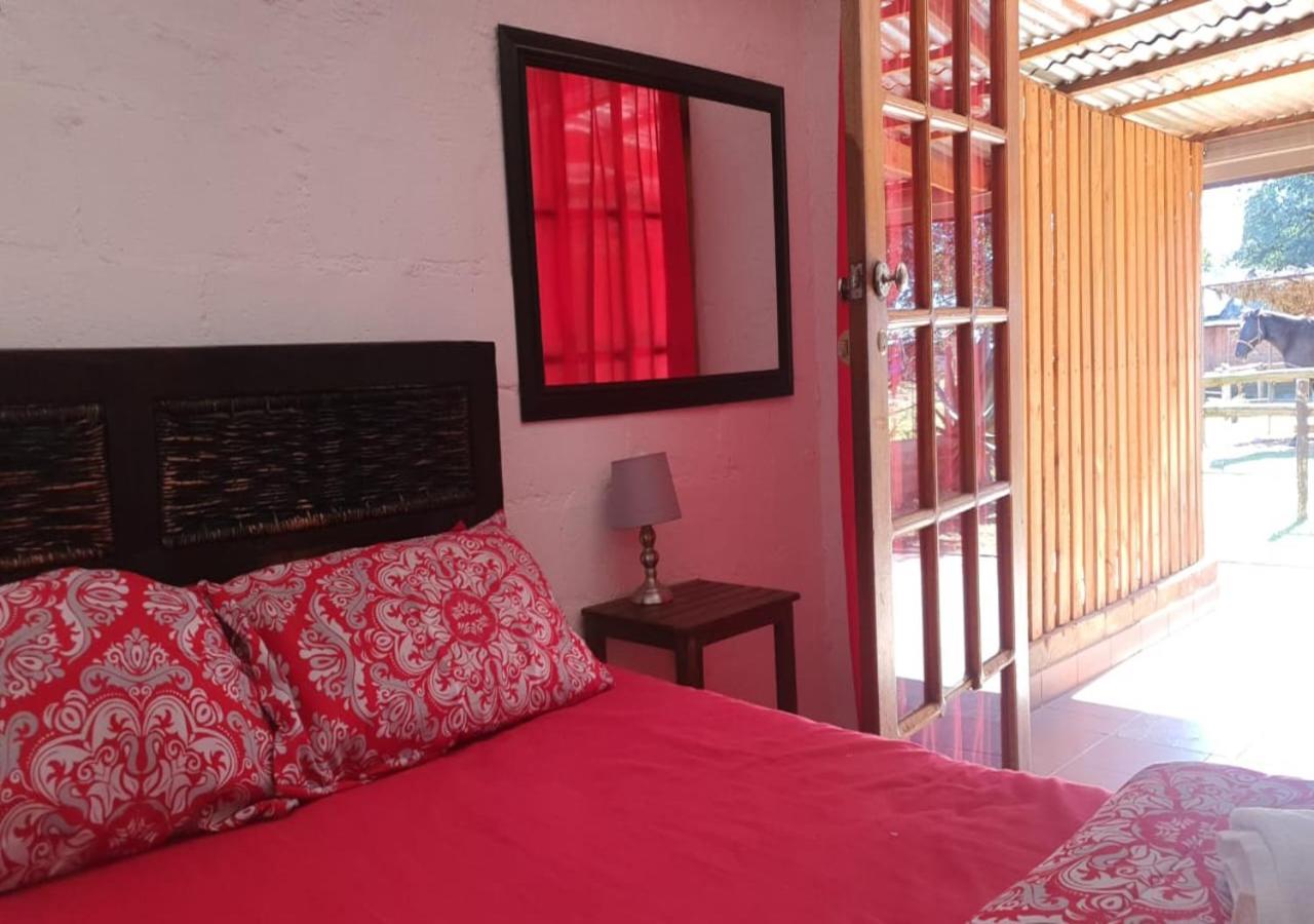 Deluxe Room - Photo 1