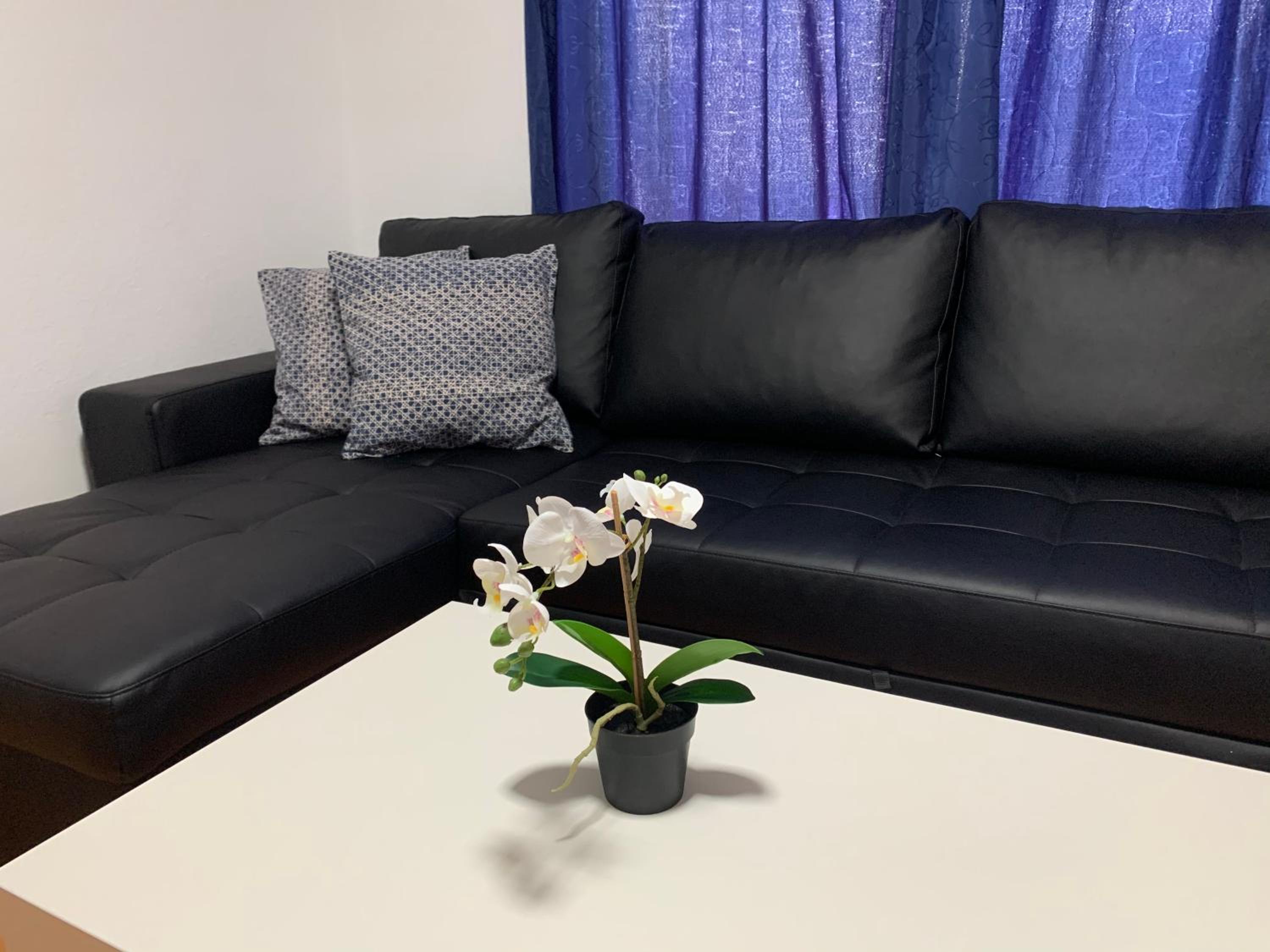 Apartamento - Planta Baja