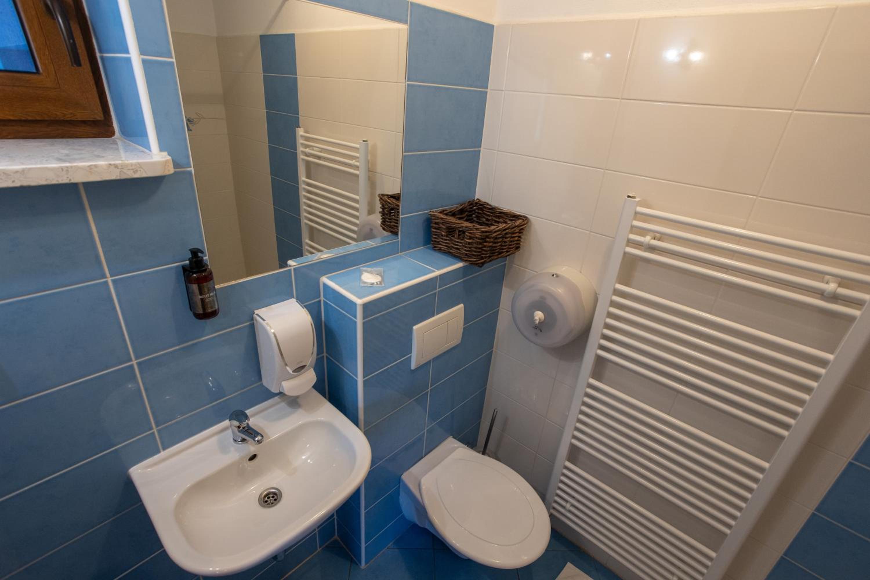 Double Room with Balcony photo 3