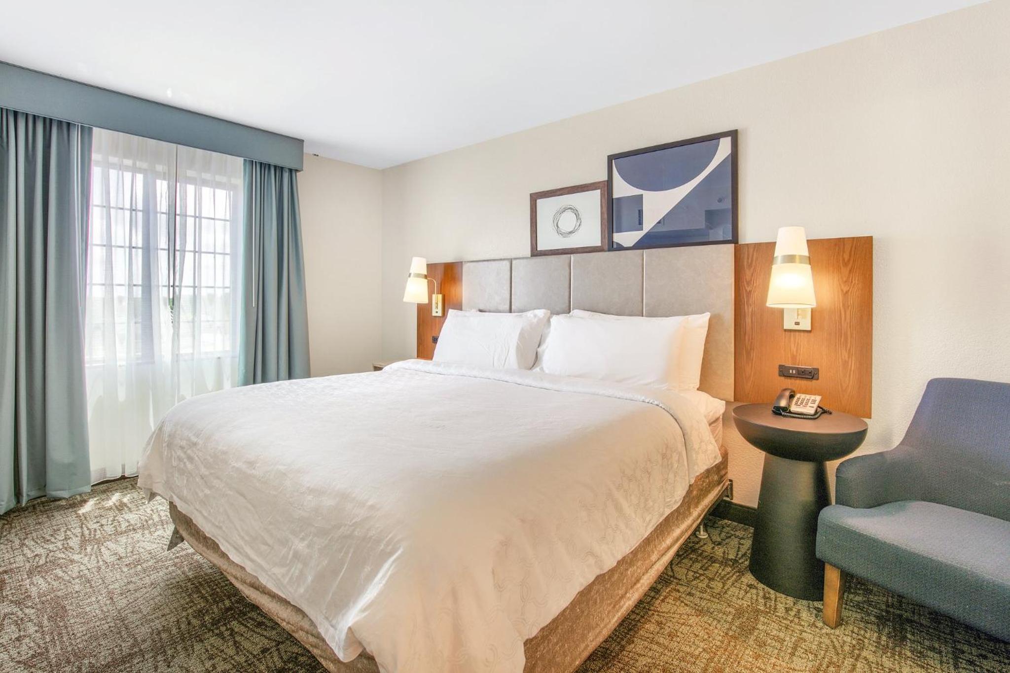One-Bedroom King Suite with Sofa Bed - Photo 3