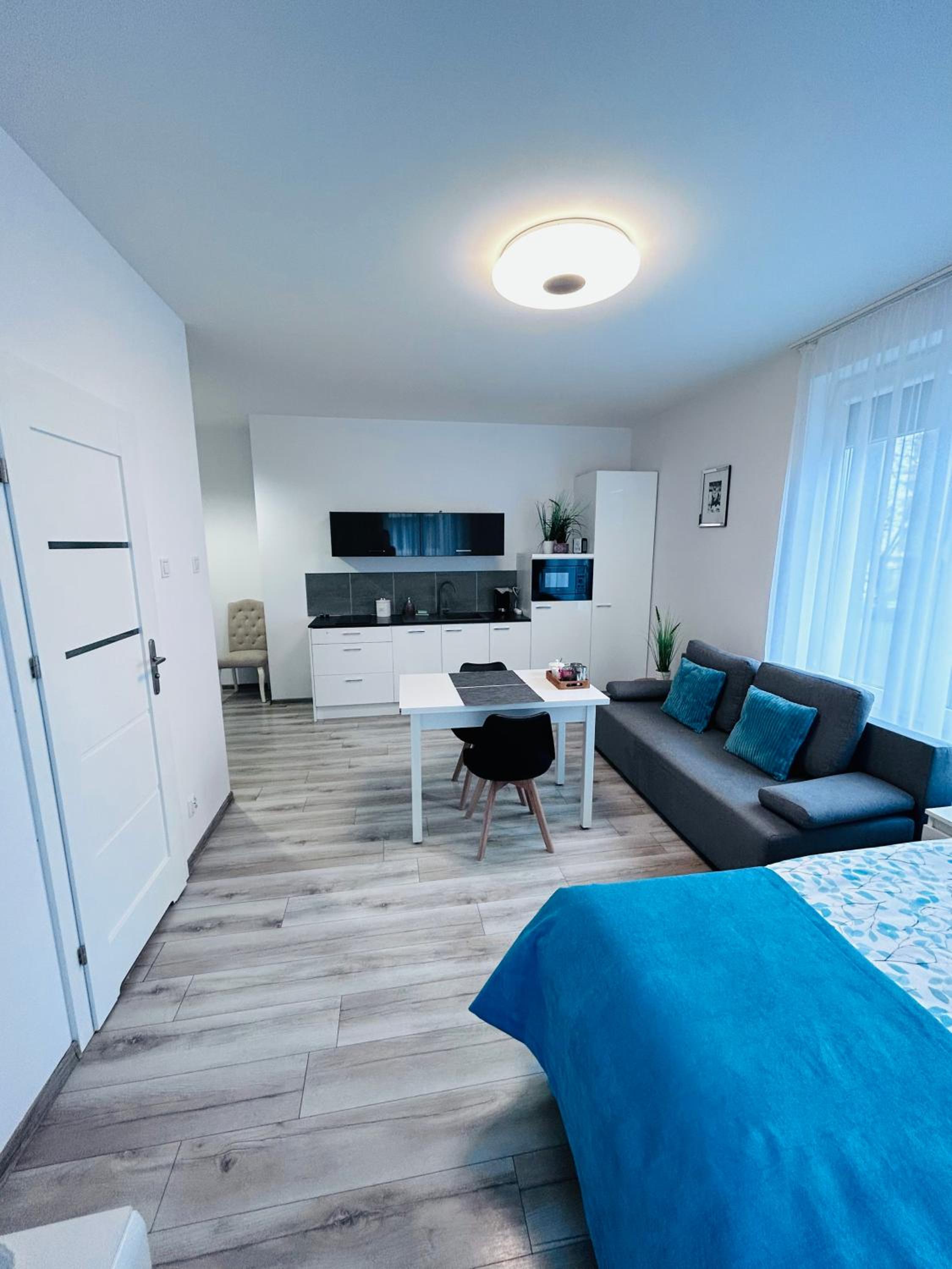 One-Bedroom Apartment - Photo 3