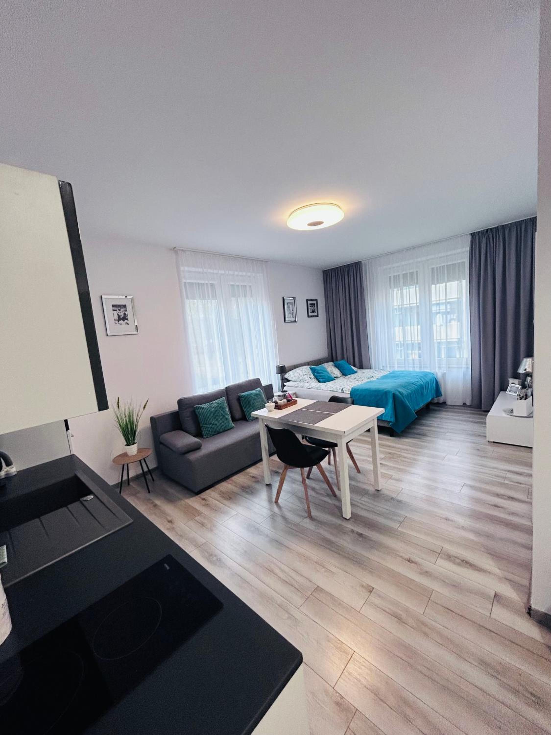 One-Bedroom Apartment - Photo 8