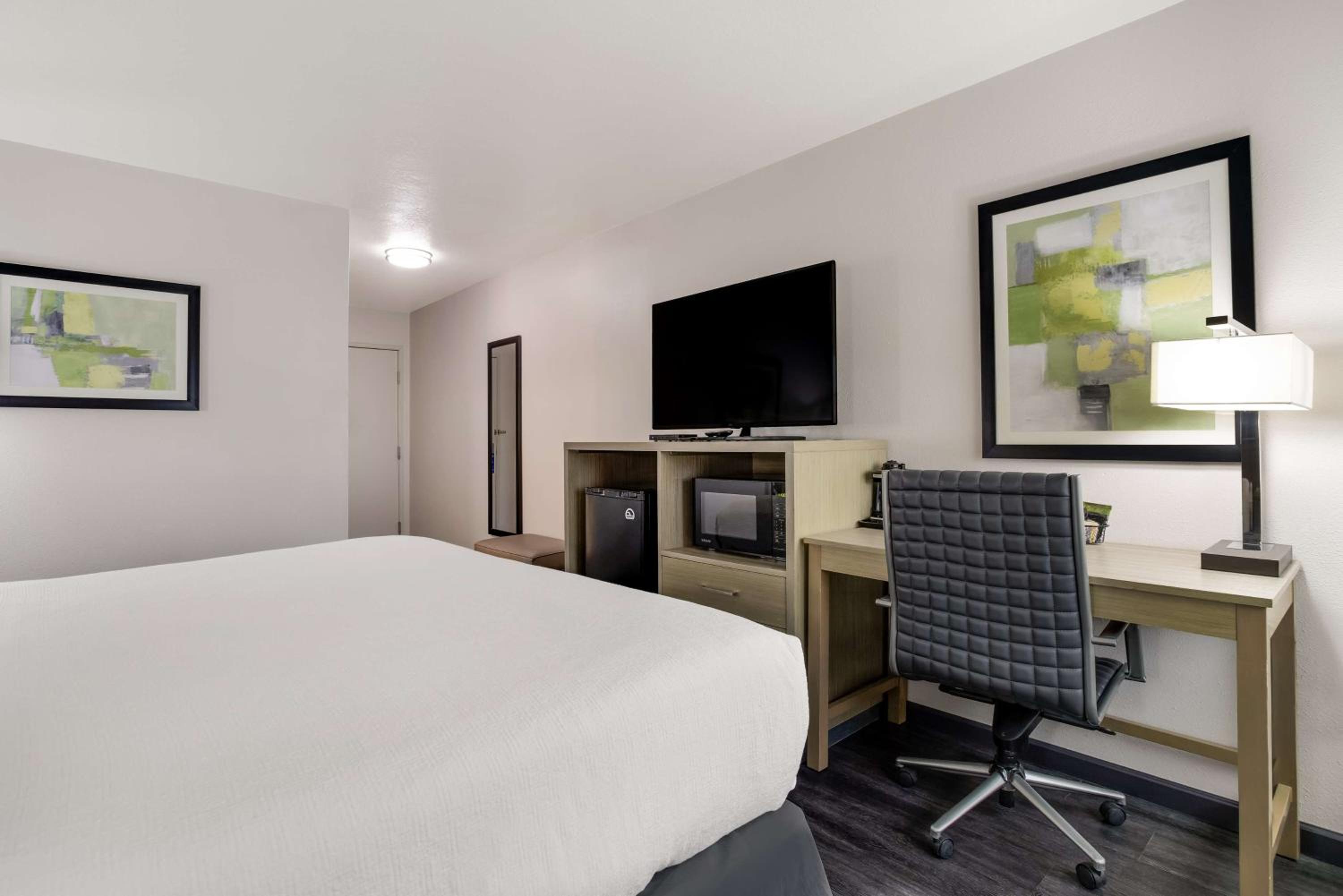 King Room with Walk-In Shower - Mobility Access - Photo 3