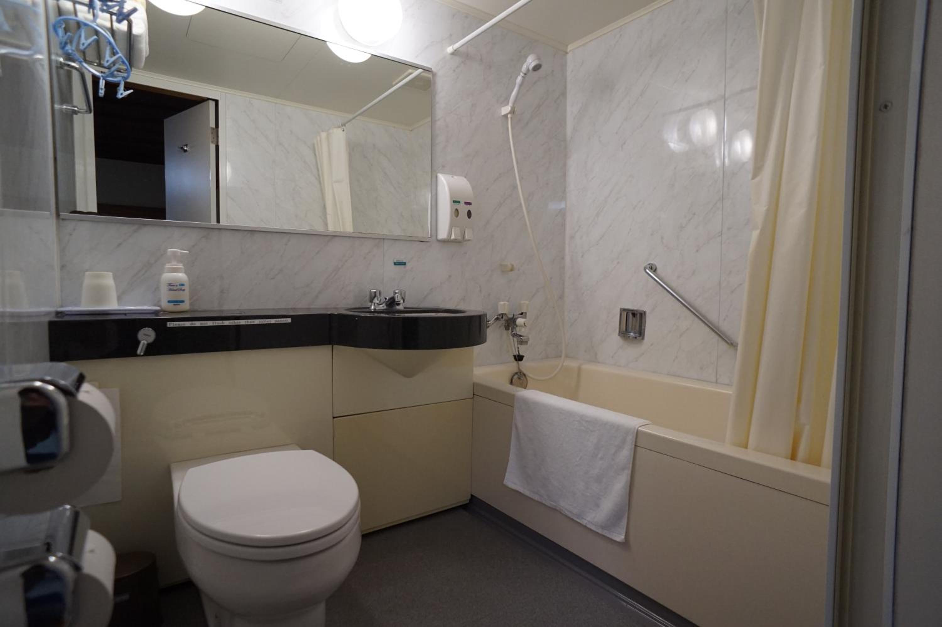 Deluxe Double or Twin Room photo 2