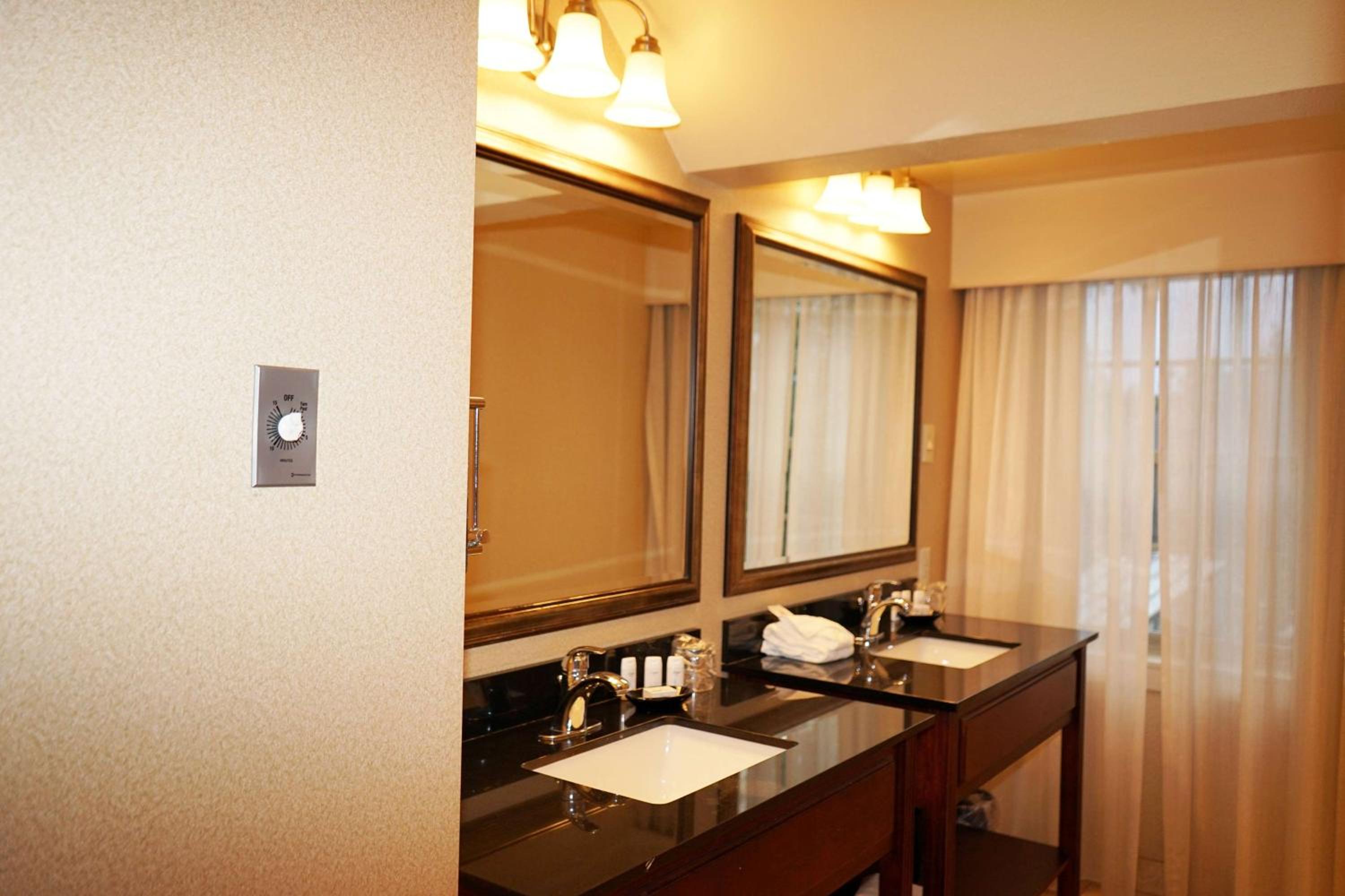 Deluxe King Studio Suite - Non-Smoking - Photo 4