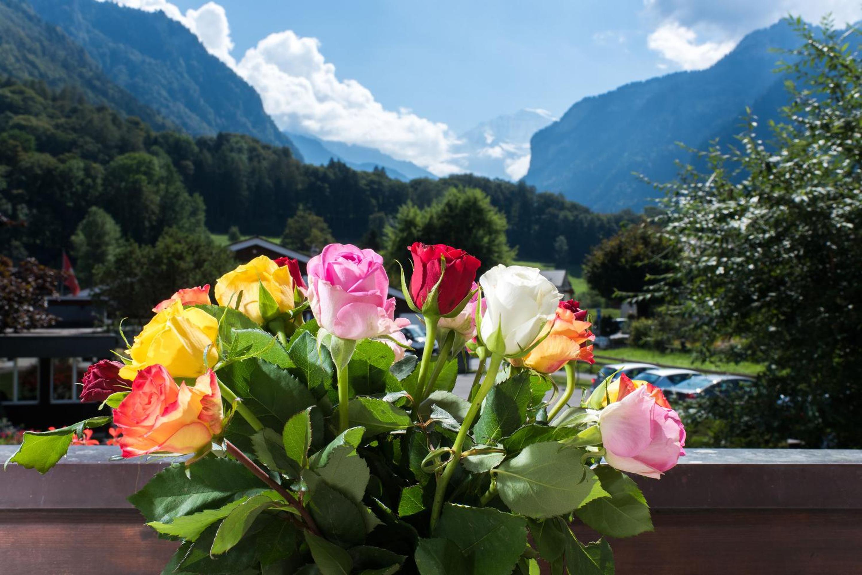 Panorama Twin Room with Jungfrau View photo 2