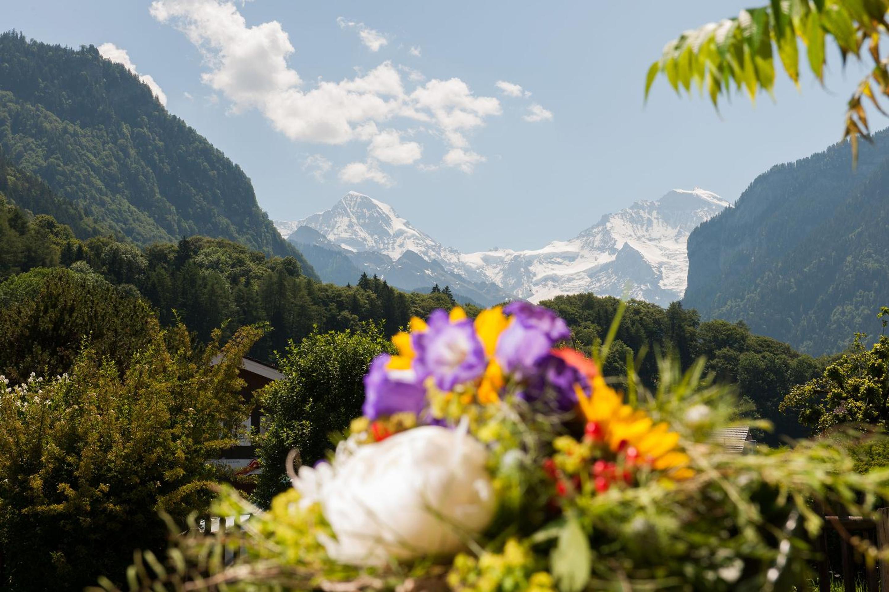 Comfort Twin Room with Jungfrau View photo 3