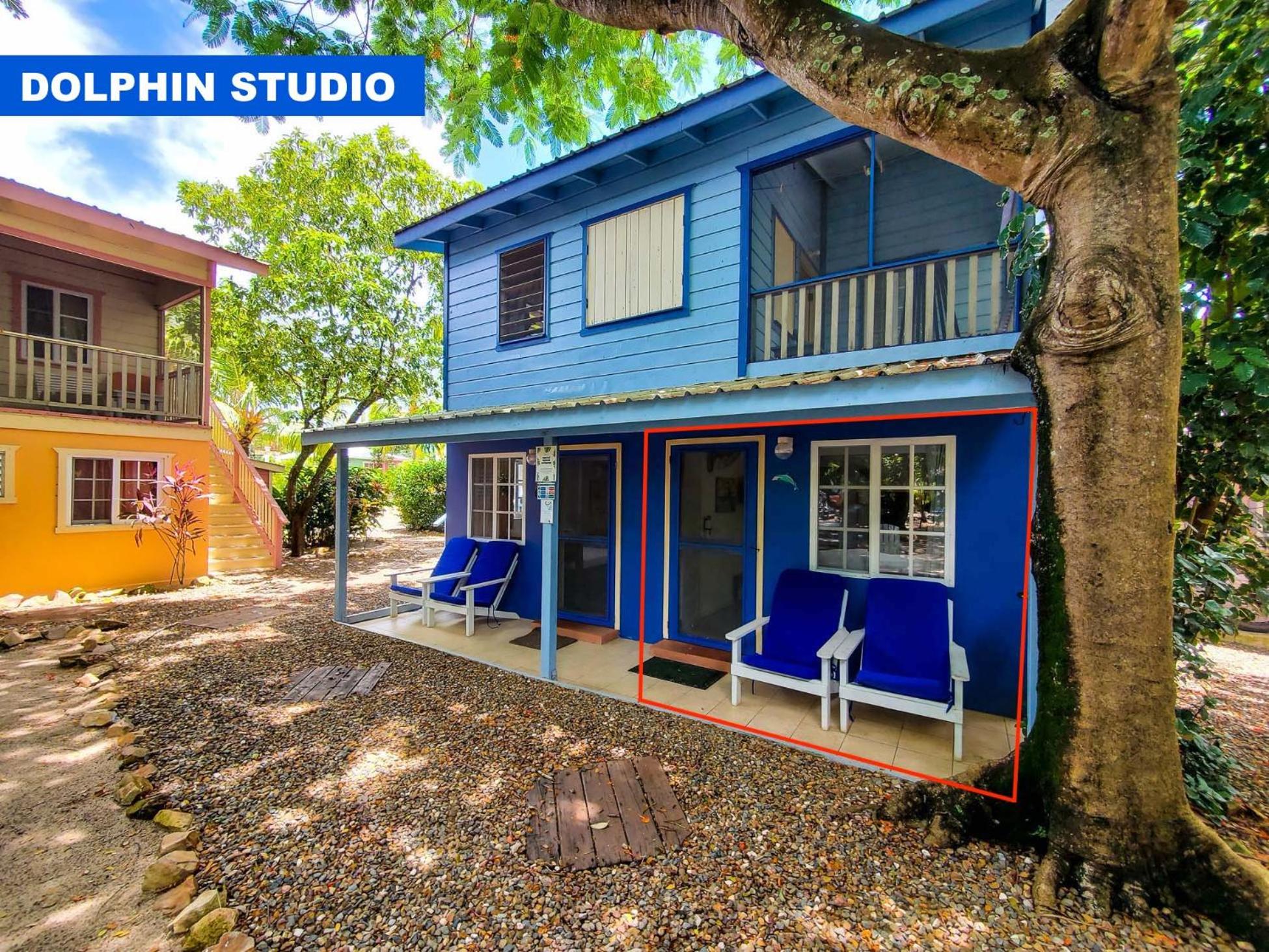 Dolphin Studio