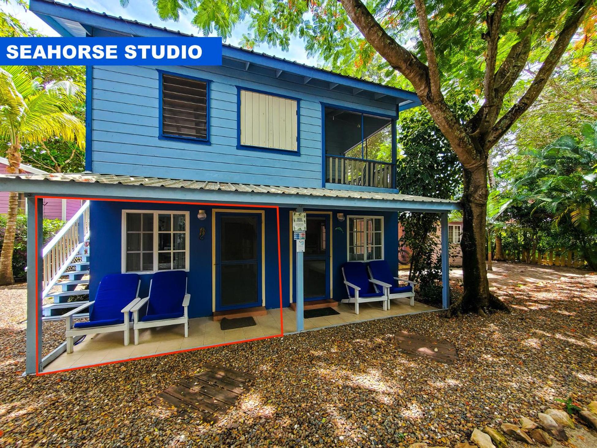 Seahorse Studio
