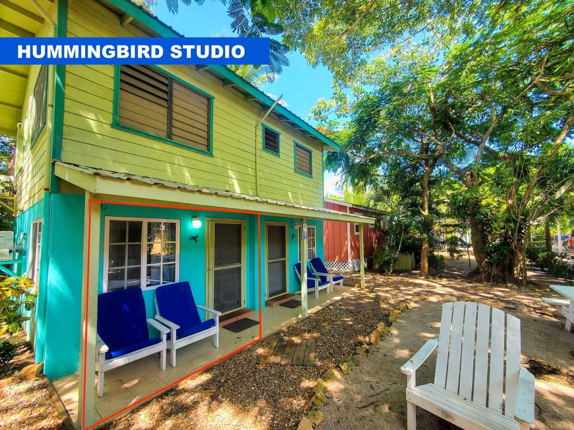 Hummingbird Studio
