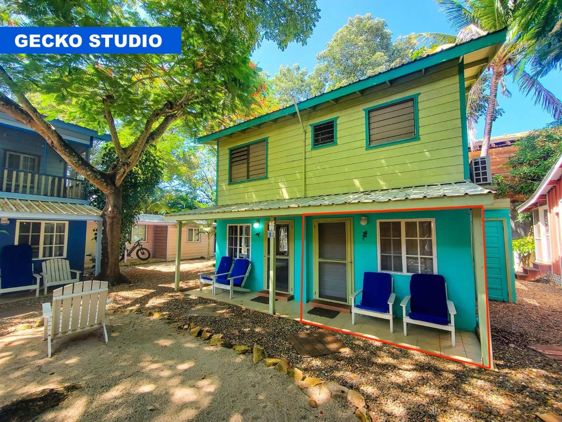 Gecko Studio photo 3