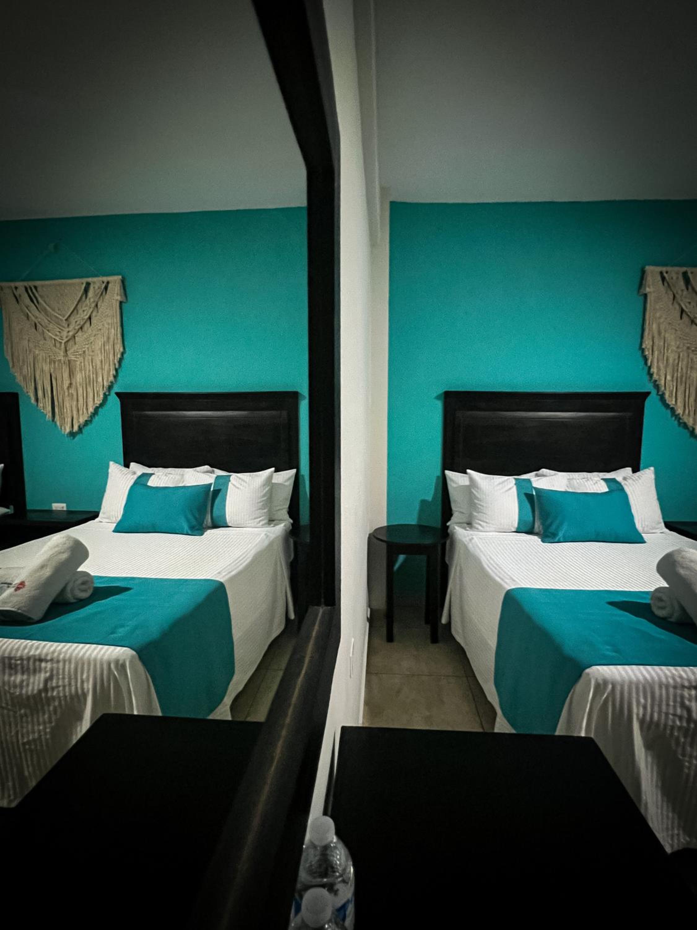 Twin Room photo 2