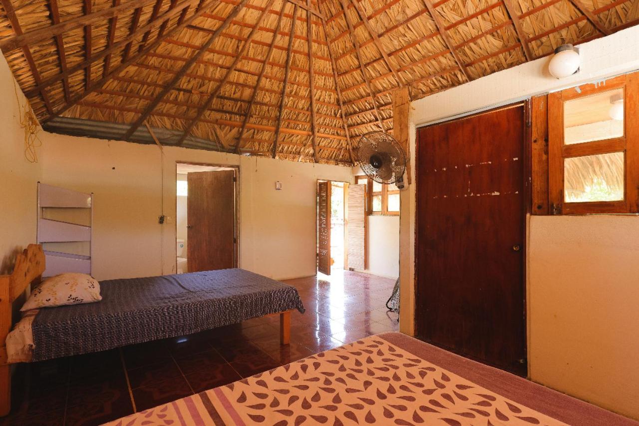Double Room with Terrace photo 1