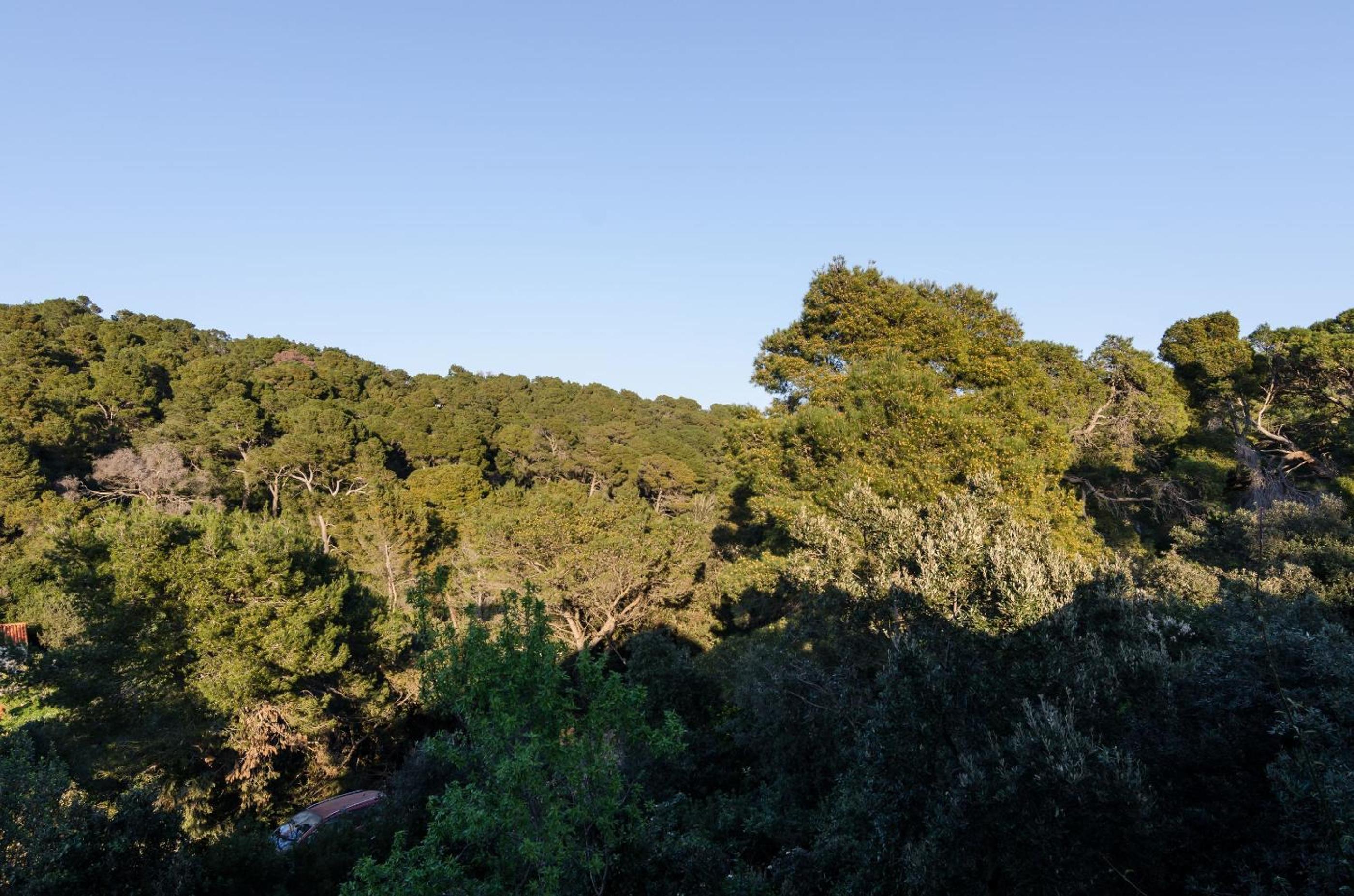 Studio with Park View photo 3