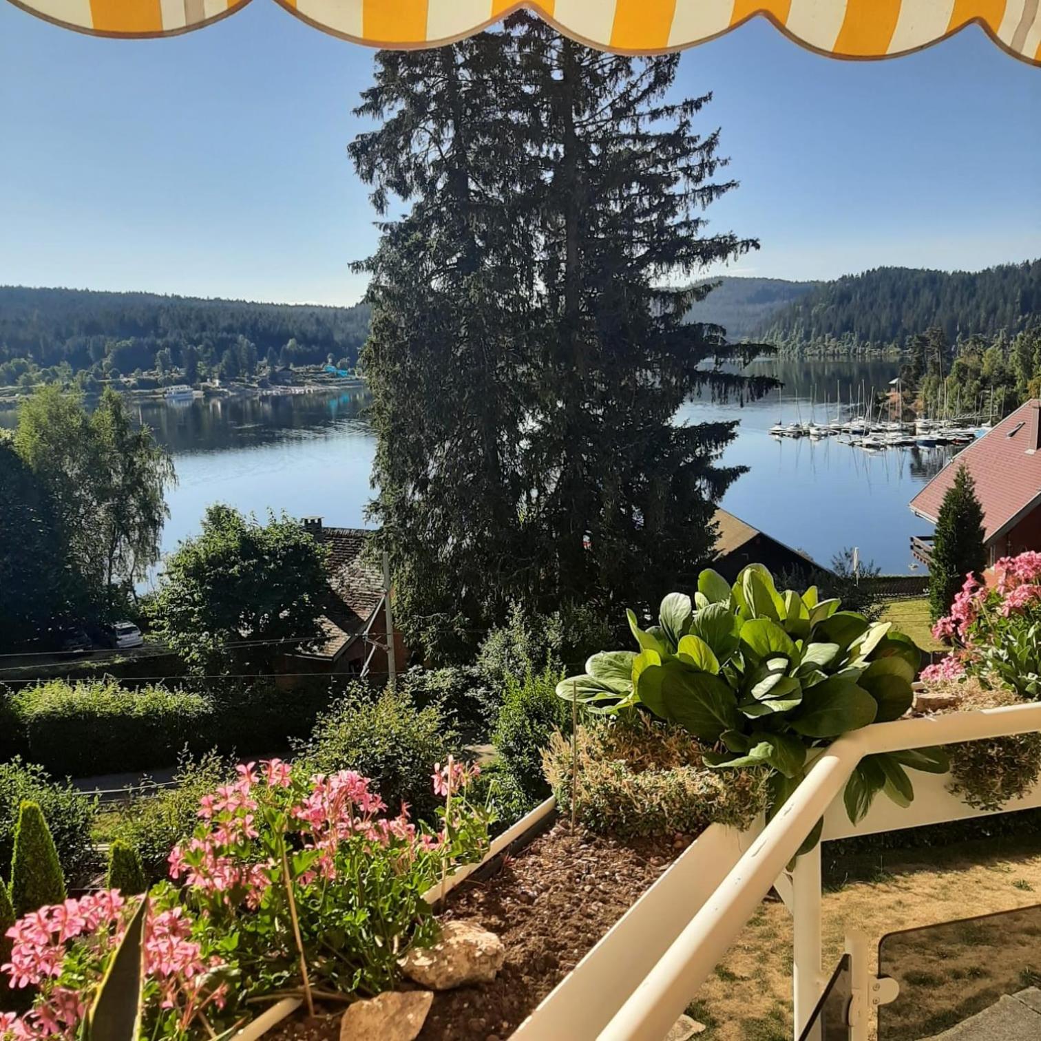 Apartment with Lake View - Photo 27