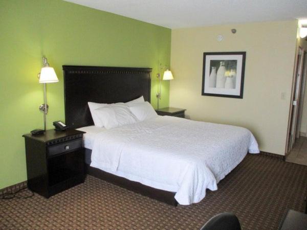 King Room - Pet Friendly/Non-Smoking