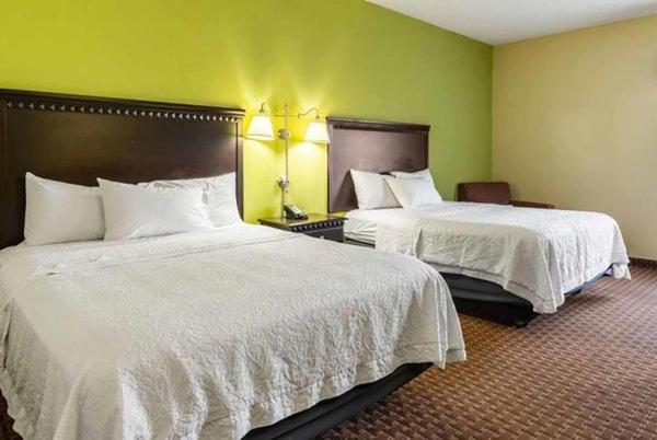 Queen Room with Two Queen Beds - Pet Friendly/Non-Smoking