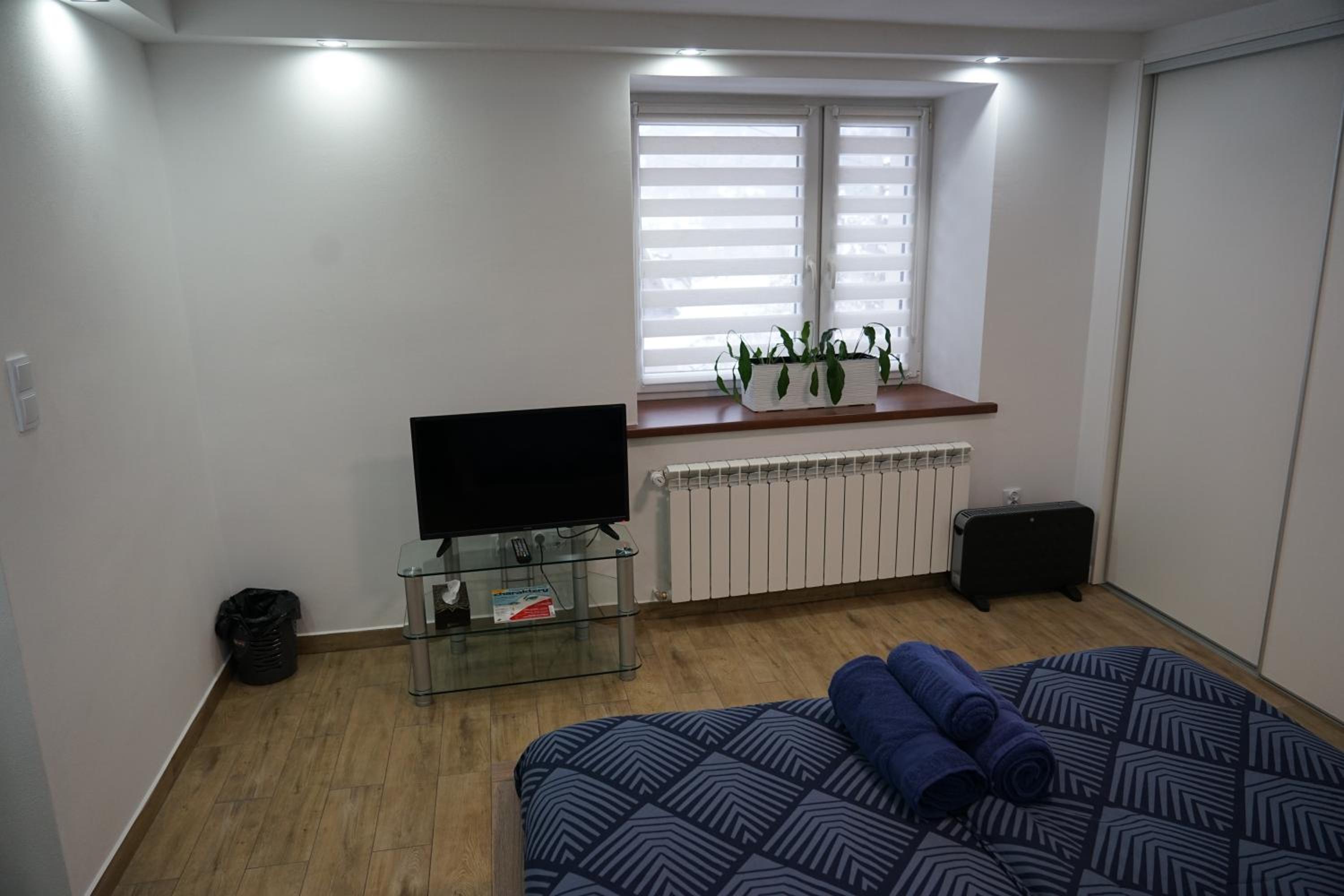 Deluxe Apartment - Photo 2