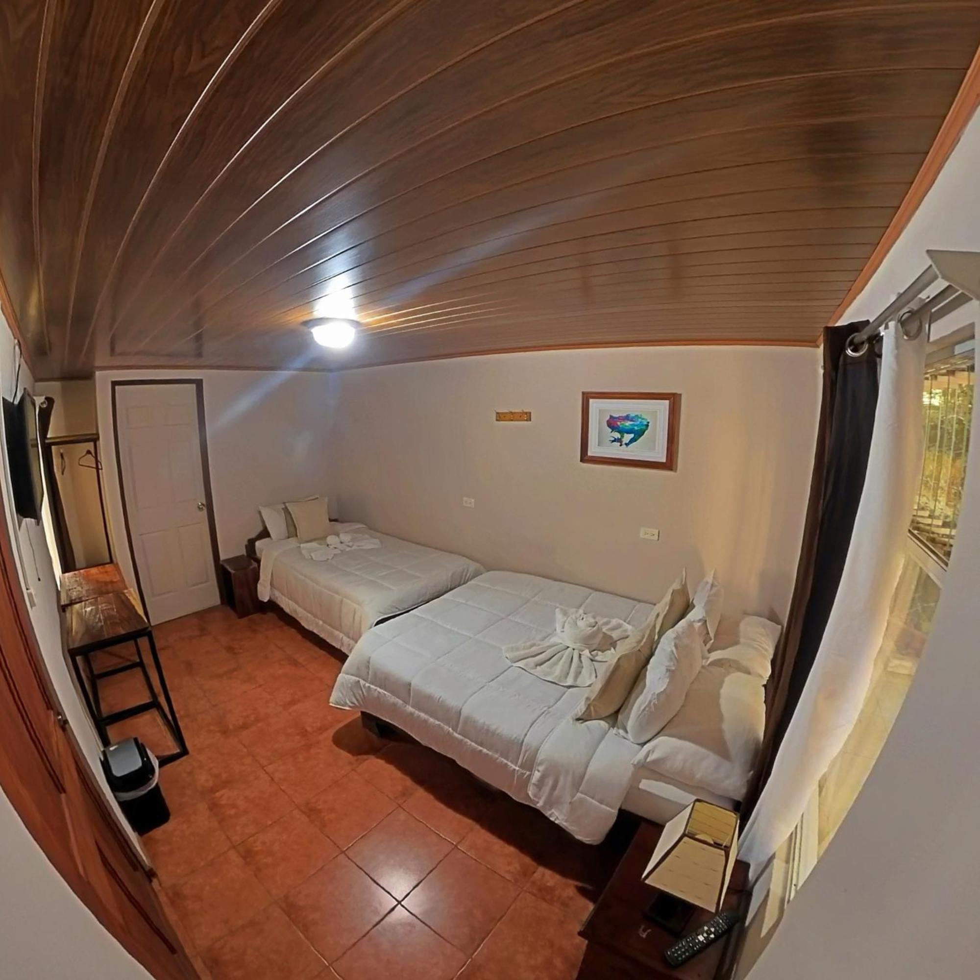 Triple Room photo 1