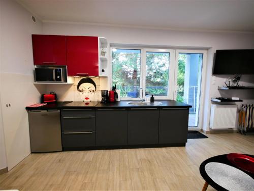 Studio with Terrace photo 2