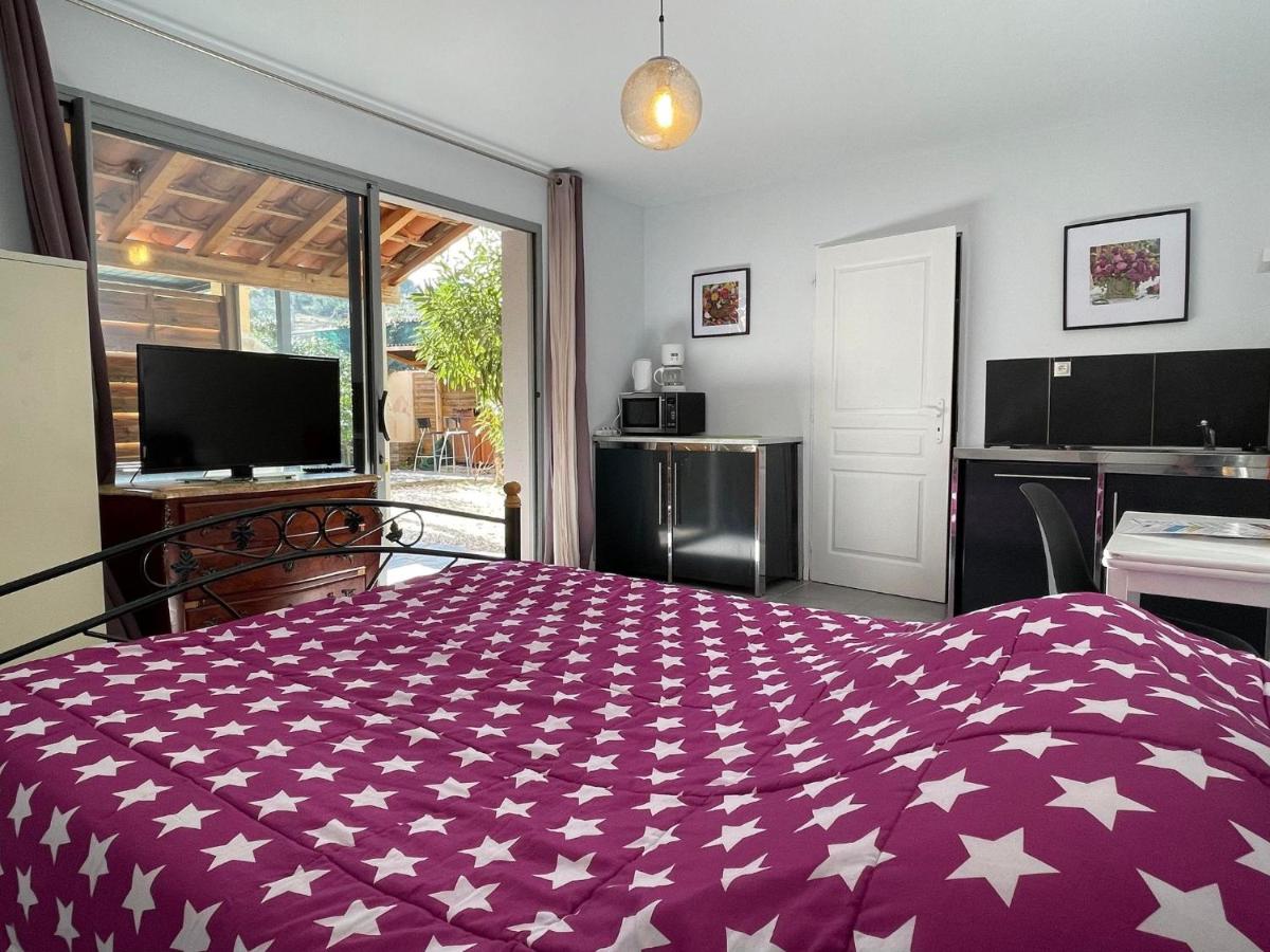 Studio with Terrace photo 3
