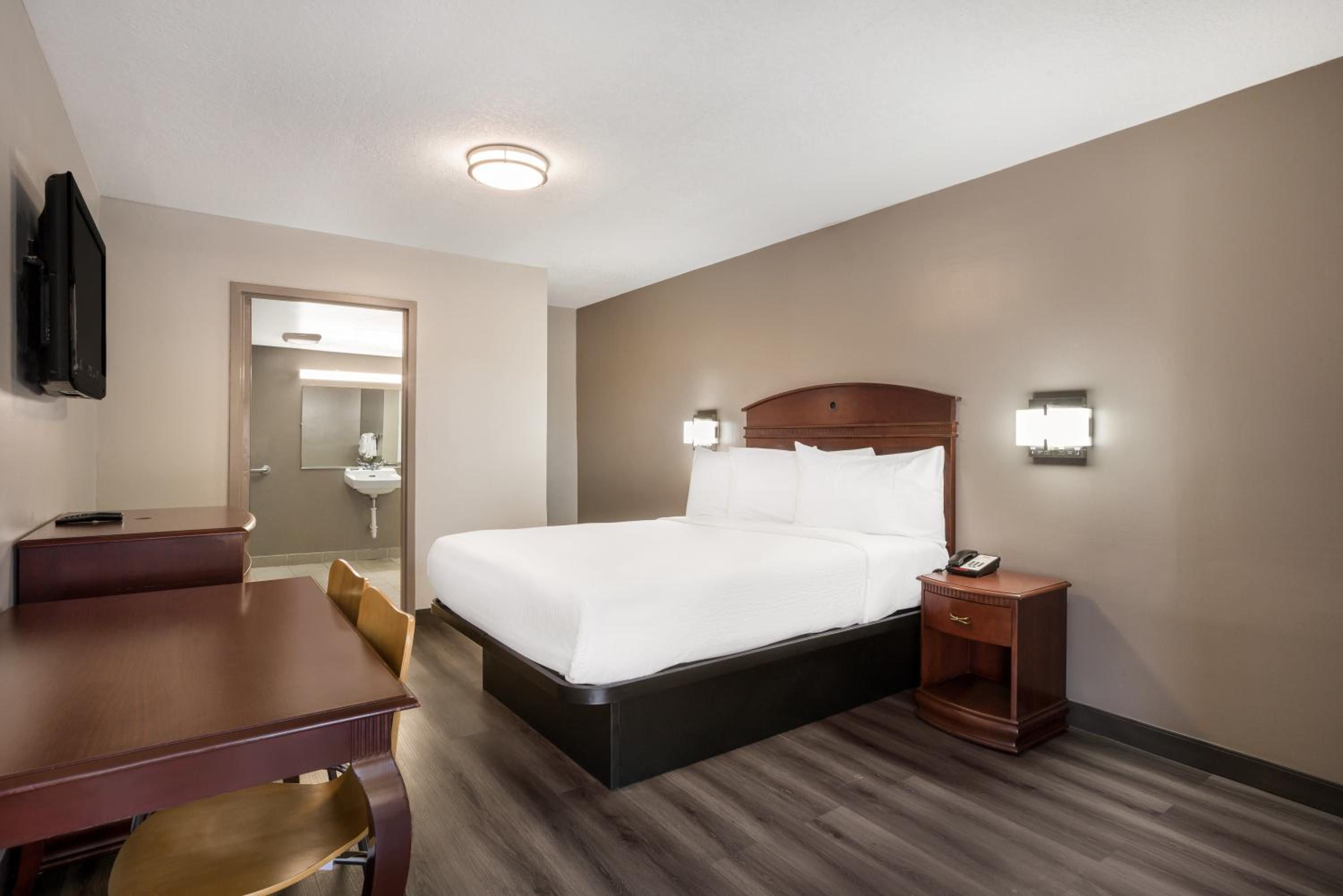 Queen Room - Disability Access photo 1