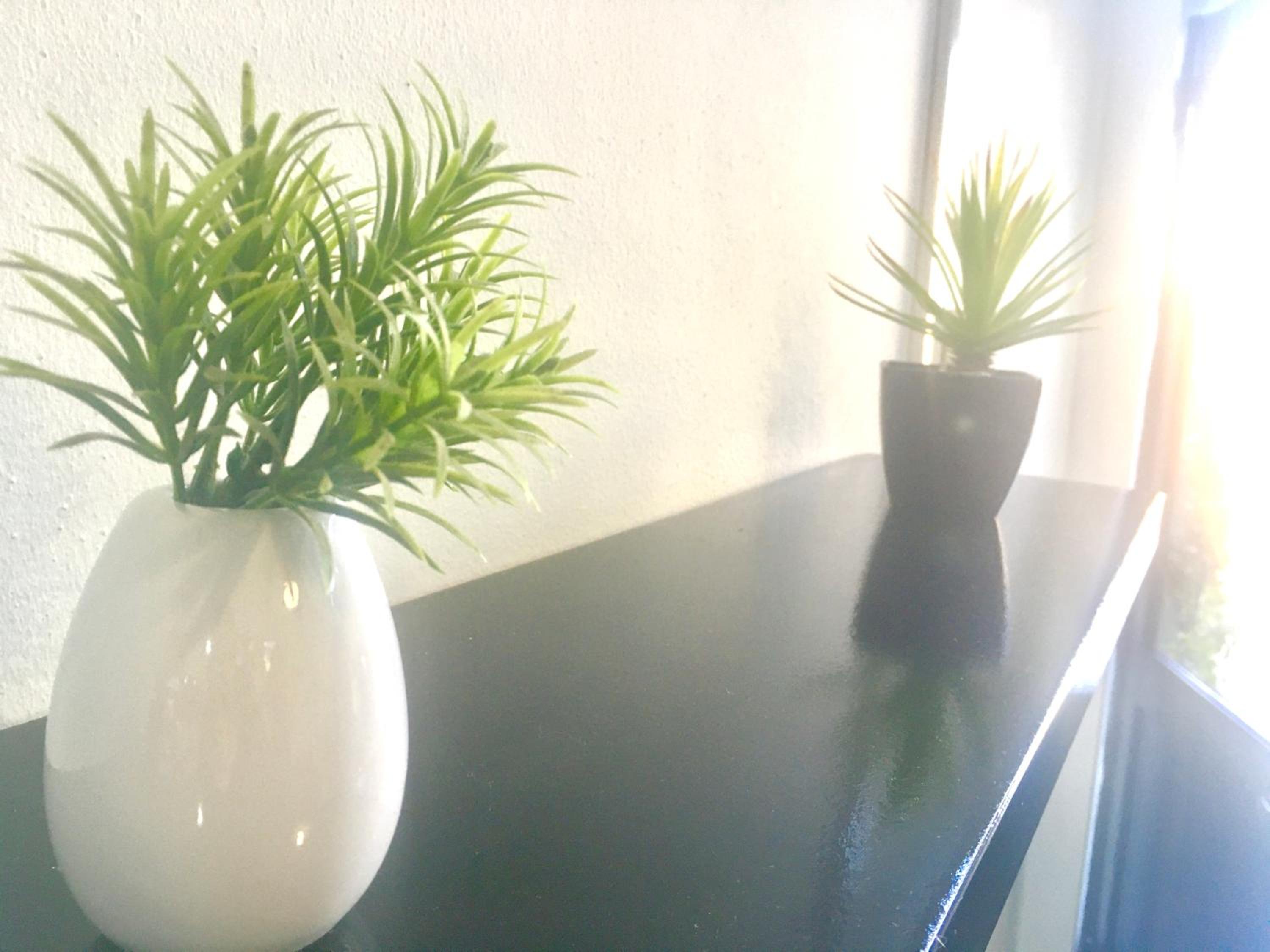 One-Bedroom Apartment - Photo 4