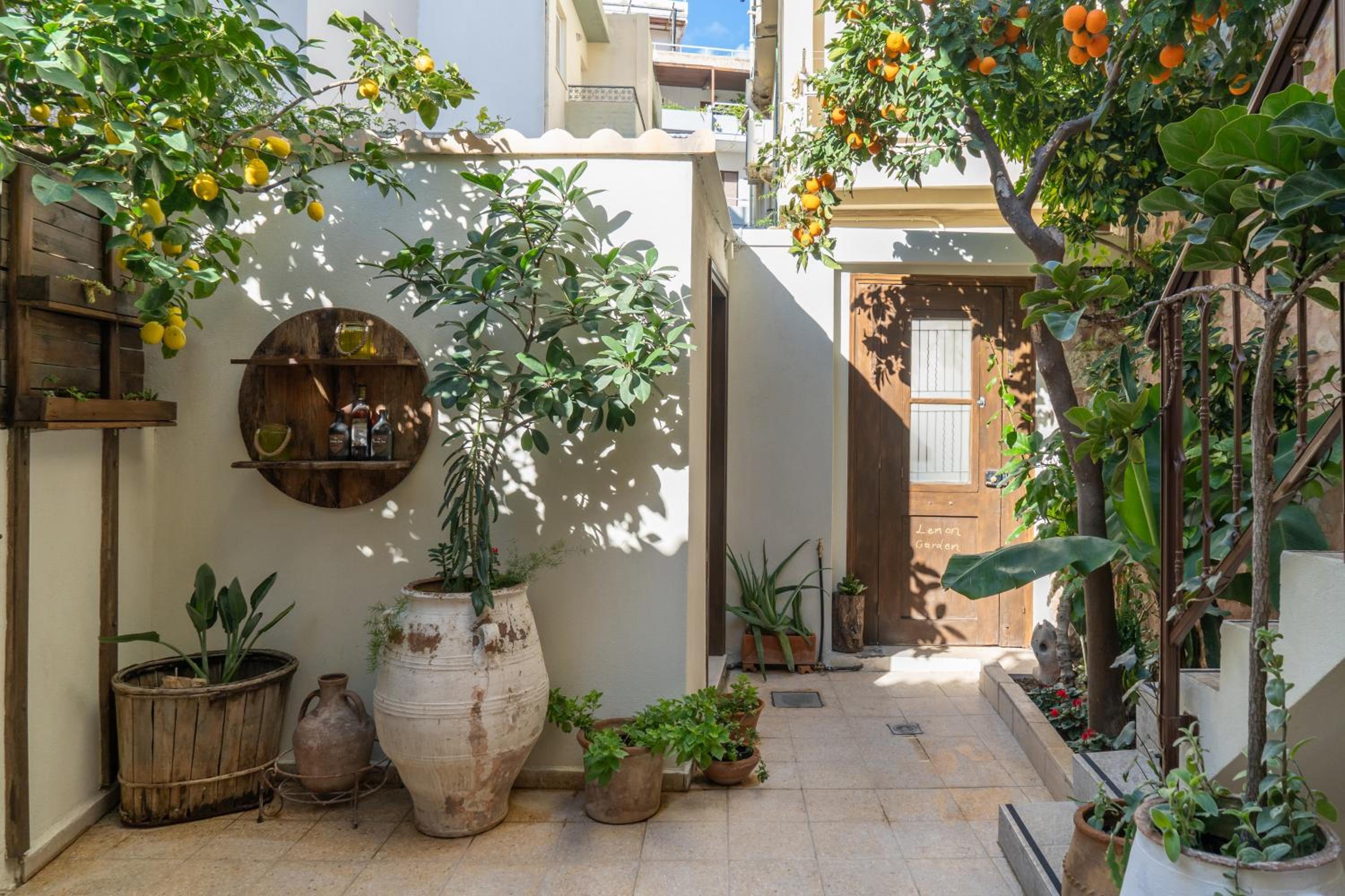 Bougainvillea - Photo 12