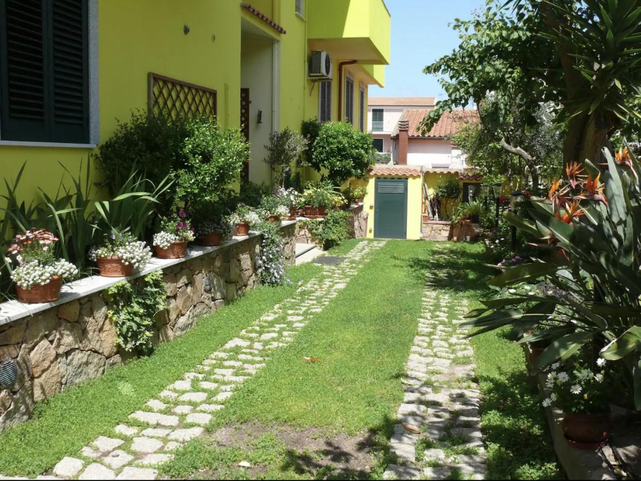 Apartment with Terrace photo 3
