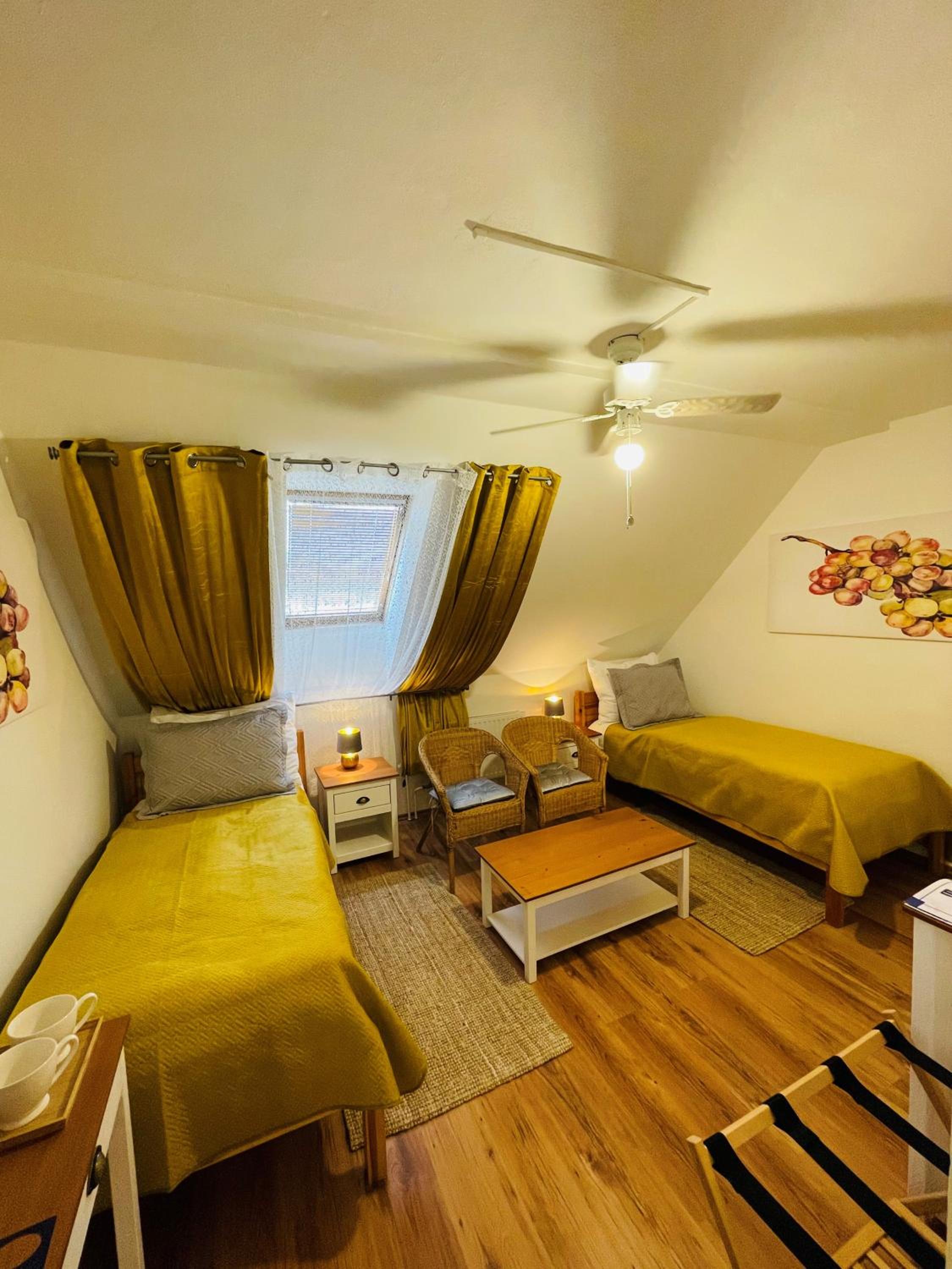 Standard Twin Room